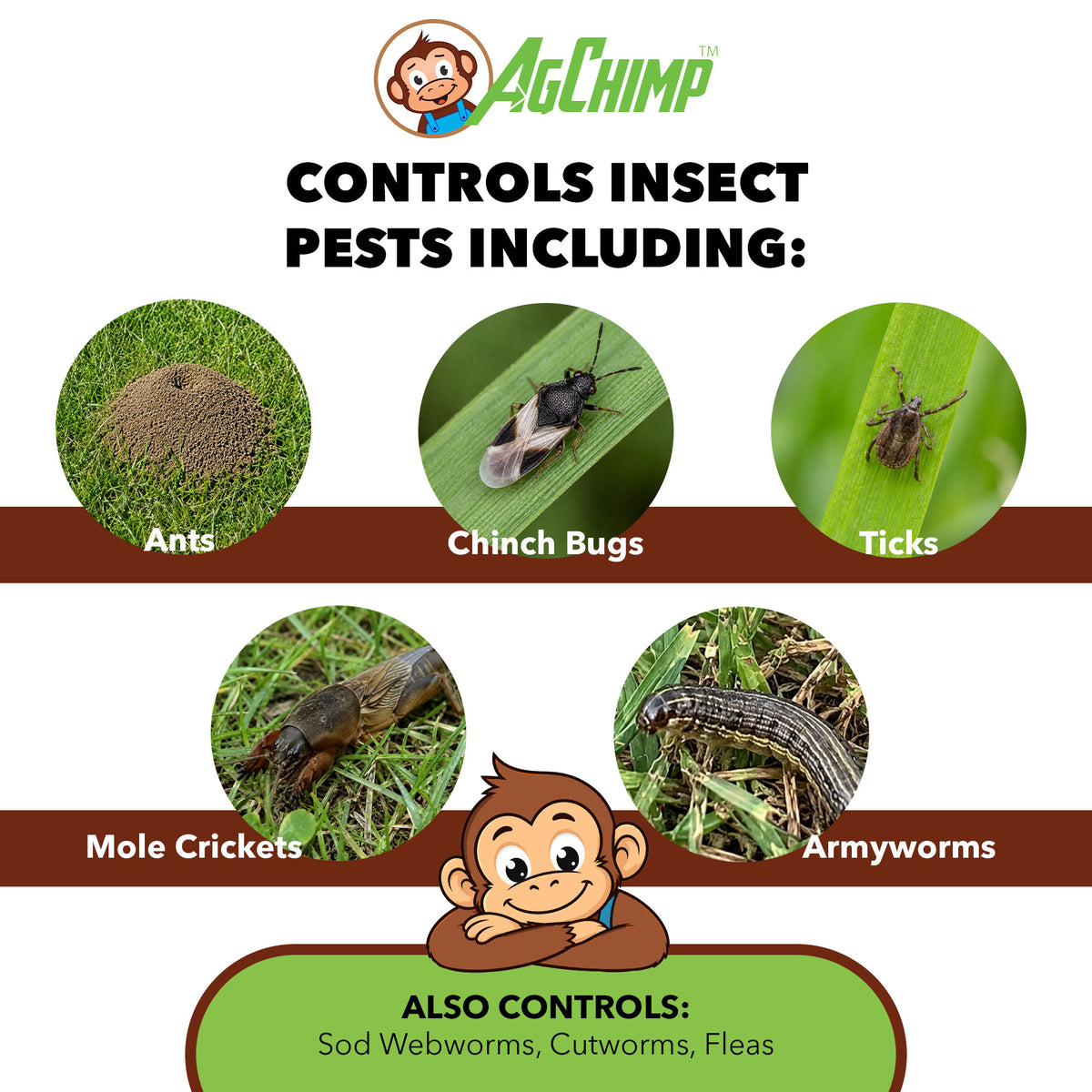 AgChimp 5-0-15 Bifenthrin Insecticide Plus Turf Fertilizer, 17lb