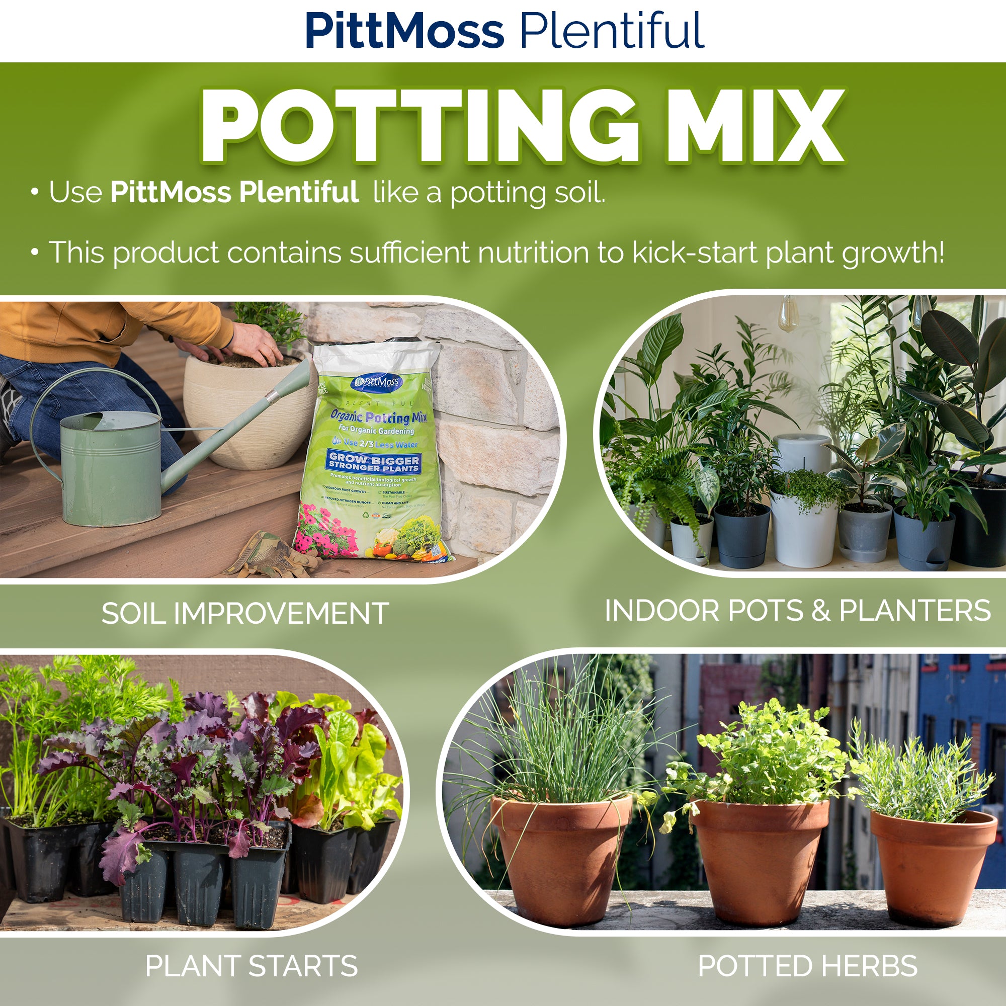 PittMoss Plentiful Organic Peat-Free Potting Mix