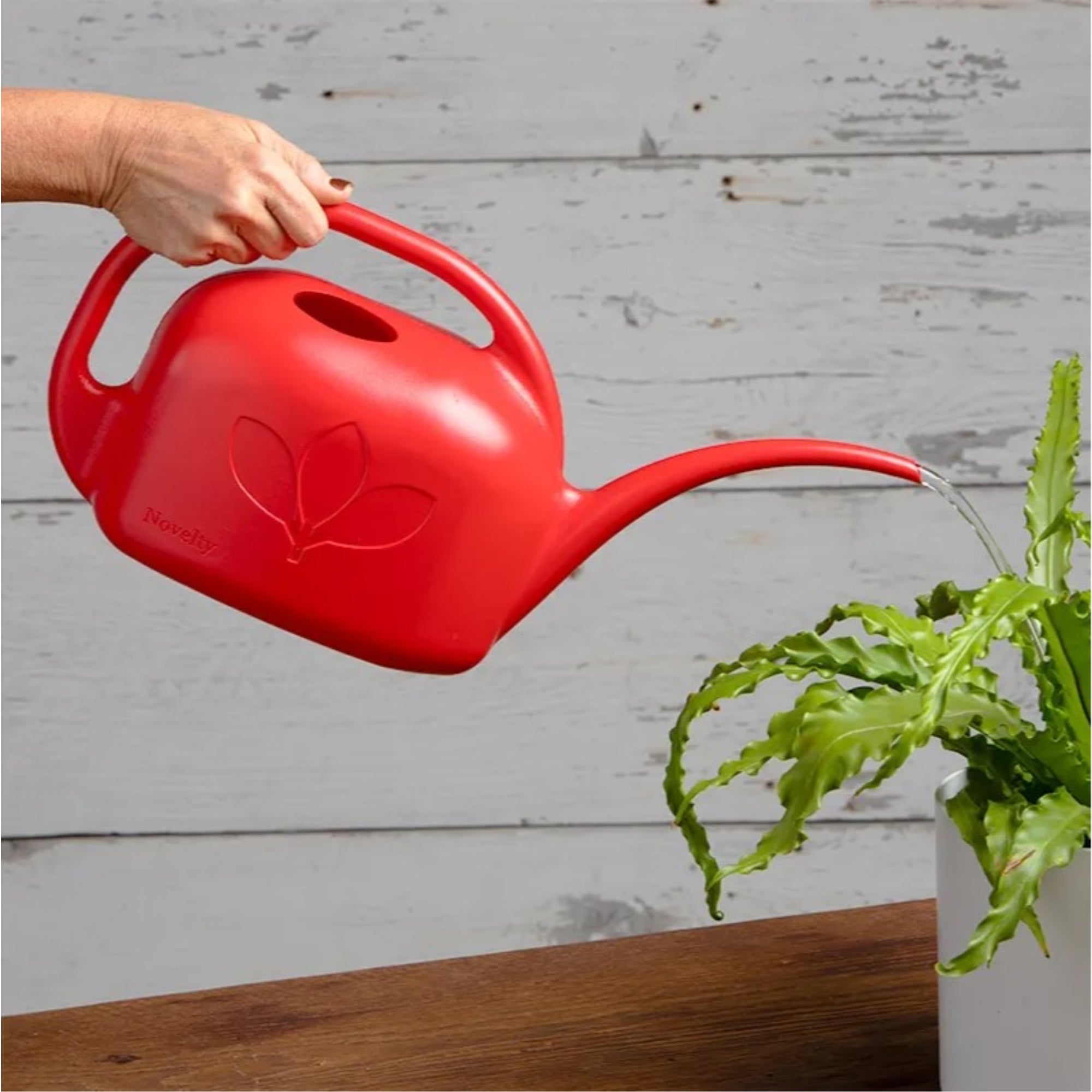 Novelty Indoor Long Spout Watering Can, 1 Gallon, Red