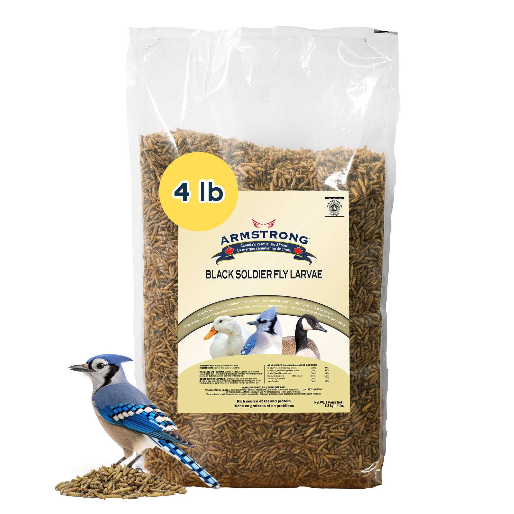 Armstrong Wild Bird Food Black Soldier Fly Larvae, 4lbs