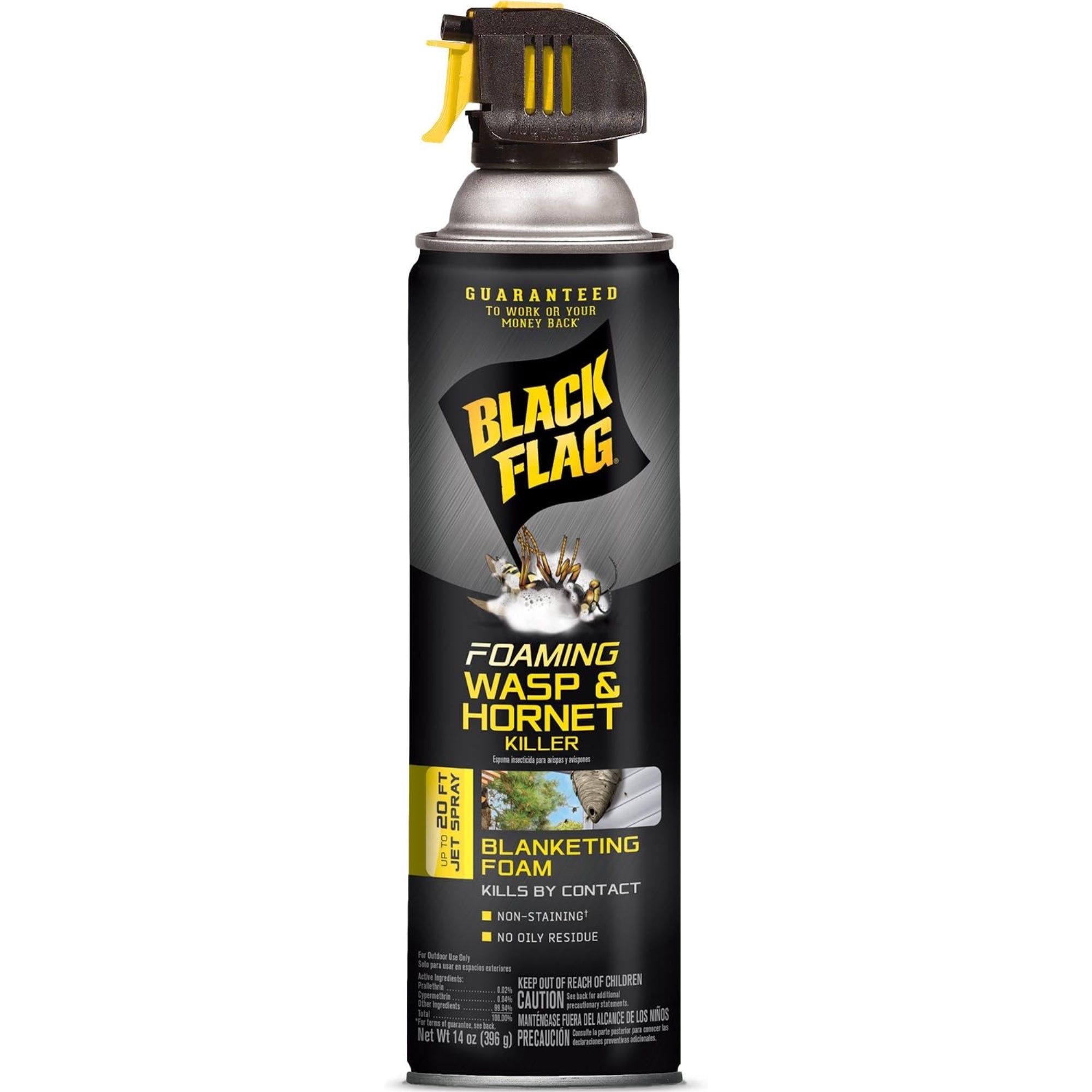 Black Flag Foaming Wasp & Hornet Killer, Kills Wasps and Hornets Nests By Contact, 14 Ounce (Aerosol Spray)