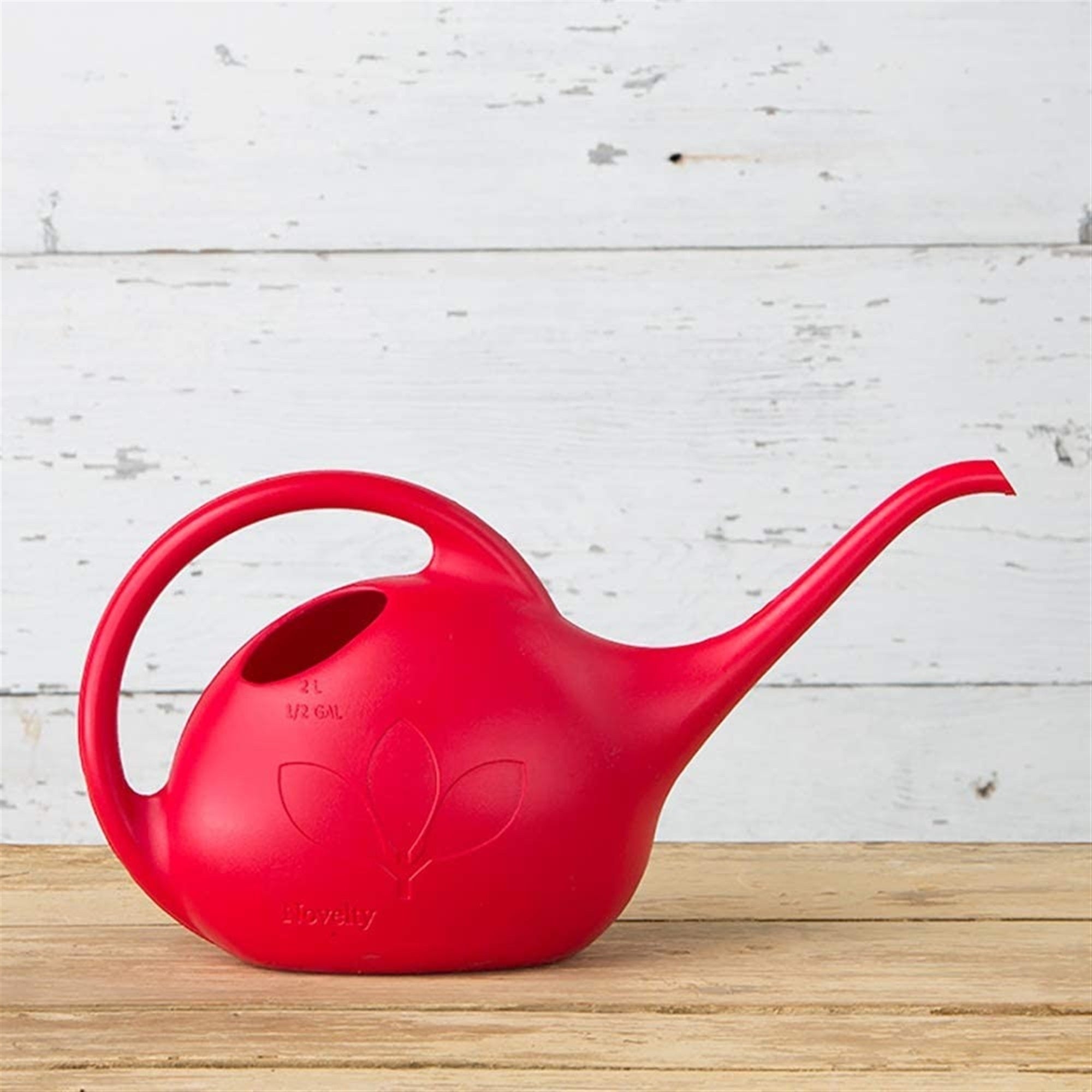 Novelty Indoor Plastic Long Spout Watering Can, Red, 0.5 Gallon