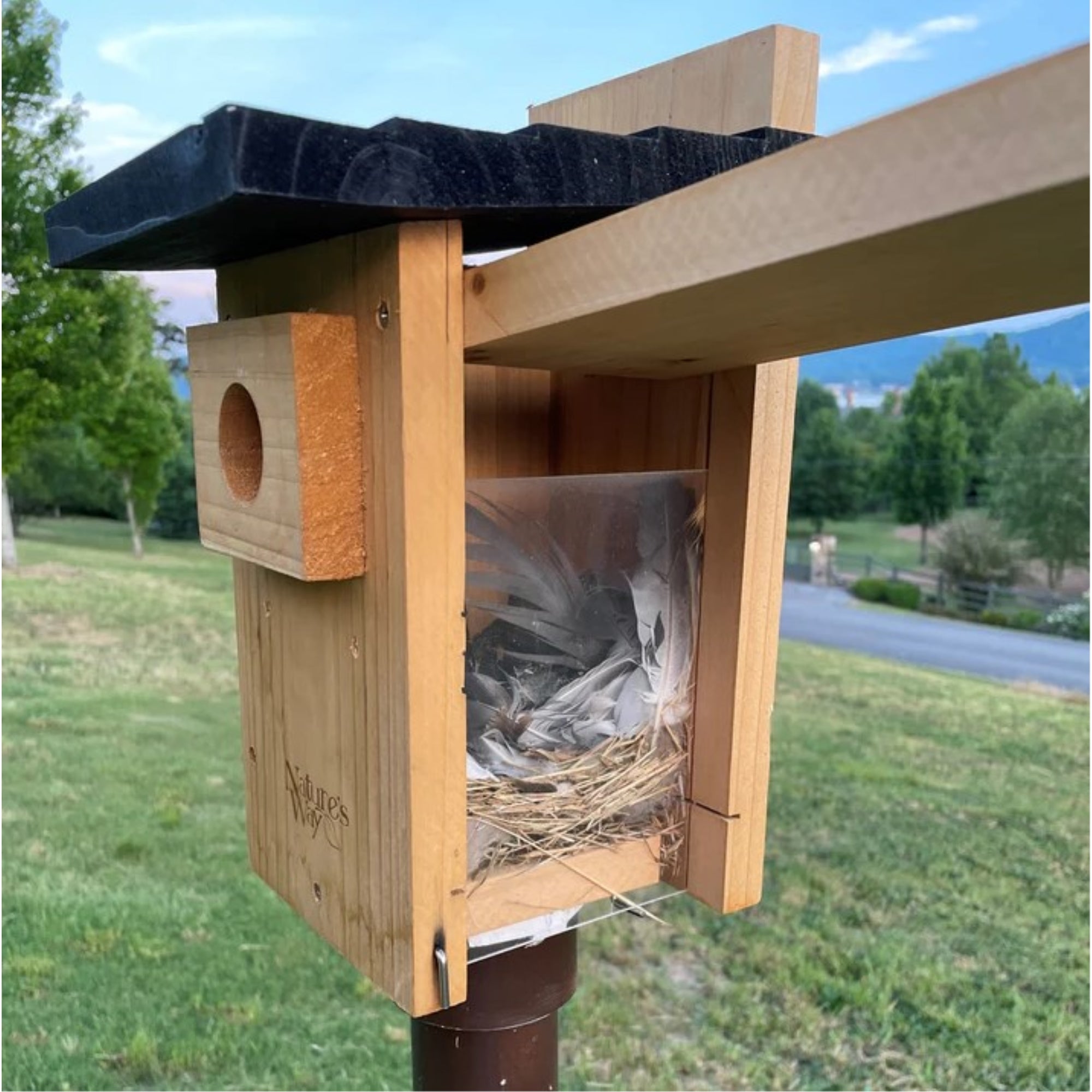 Nature's Way Bird Products Cedar Bluebird Viewing House, Brown