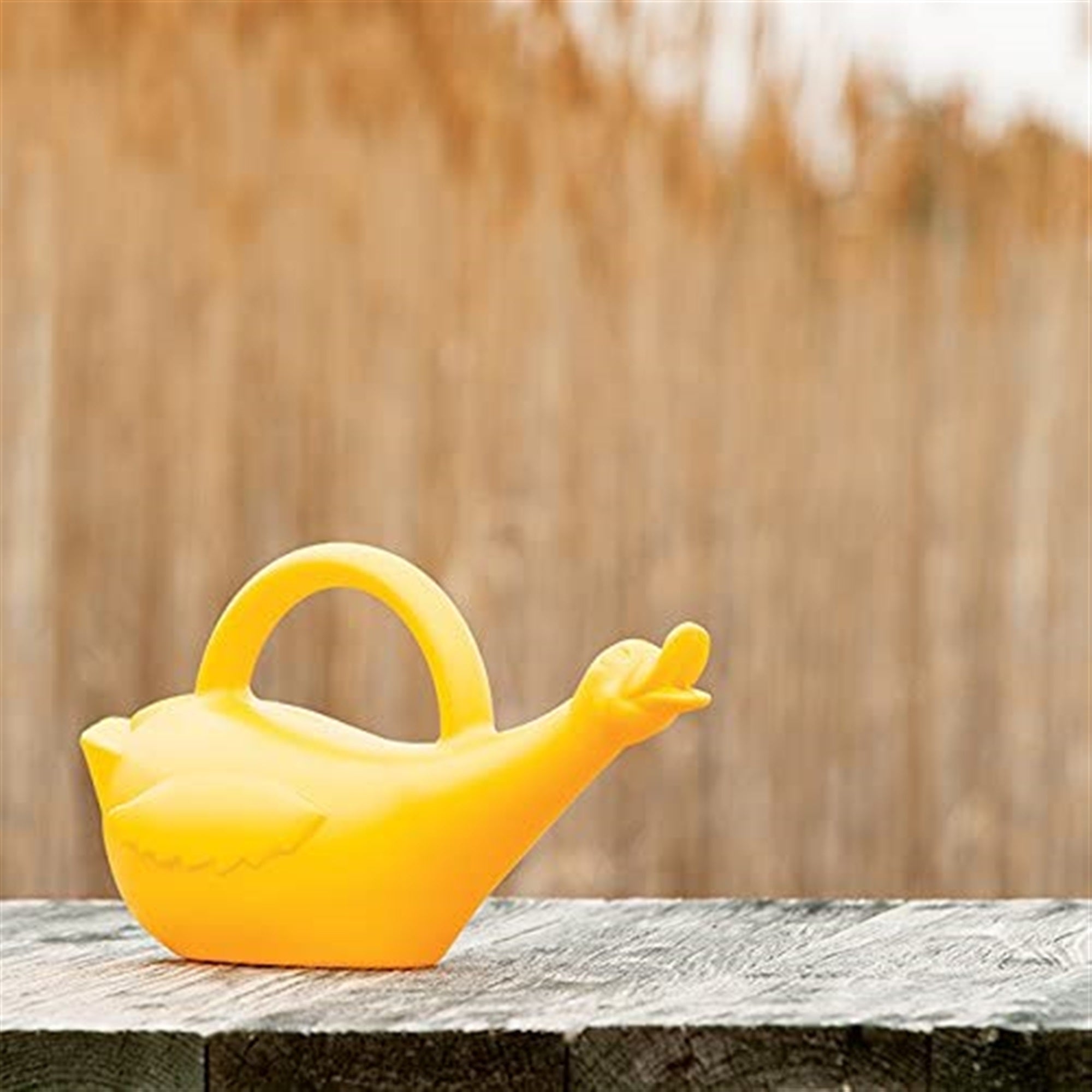 Novelty Kids Lucky Duck Watering Can, Yellow, 1 Gallon