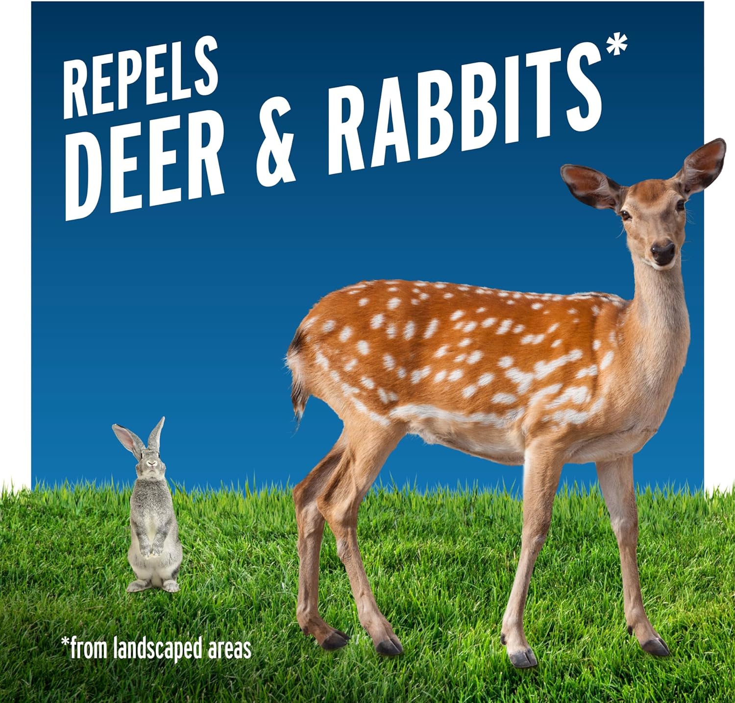 Liquid Fence Deer & Rabbit Ready-to-Use Repellent