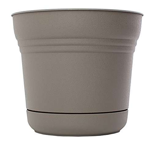 Bloem Saturn Plastic In/Outdoor Flower Pot Planter with Saucers