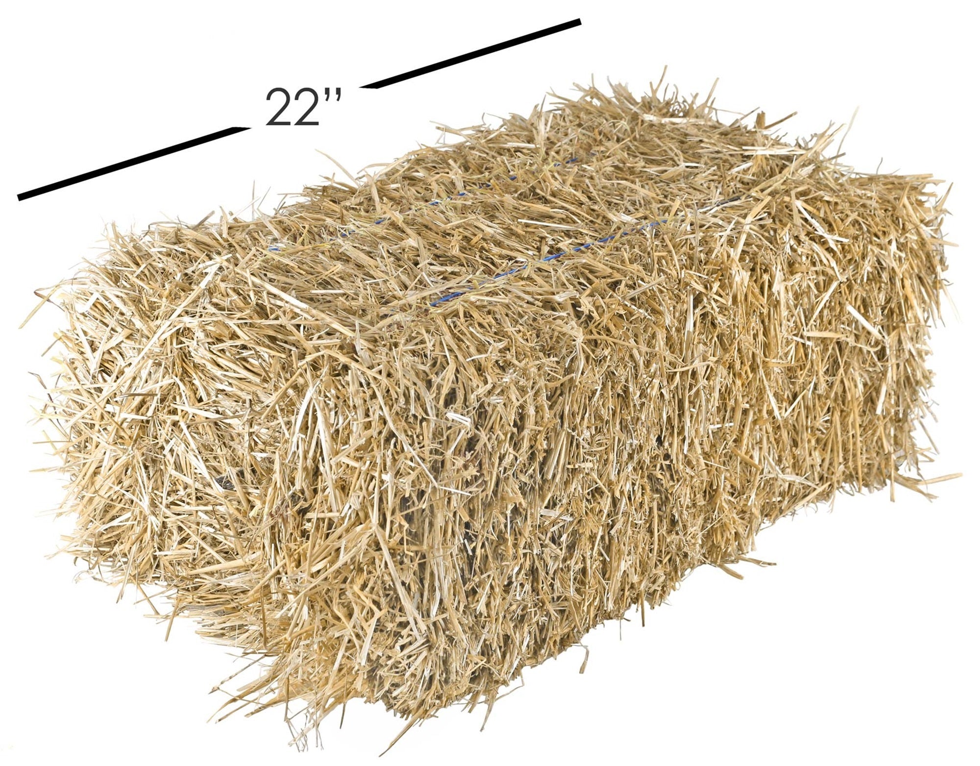 Garden Elements Straw Bale by Shady Creek Farm, Multi-Use for Farm & Home, Medium Straw Bale, 22"