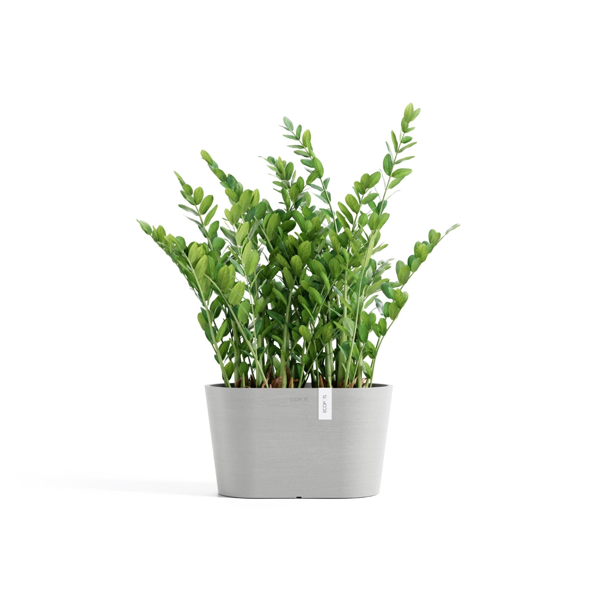 Ecopots Tokyo Durable Modern Oval Indoor/Outdoor Recycled-Based Composite Flower Pot Planter w/ Water Reservoir