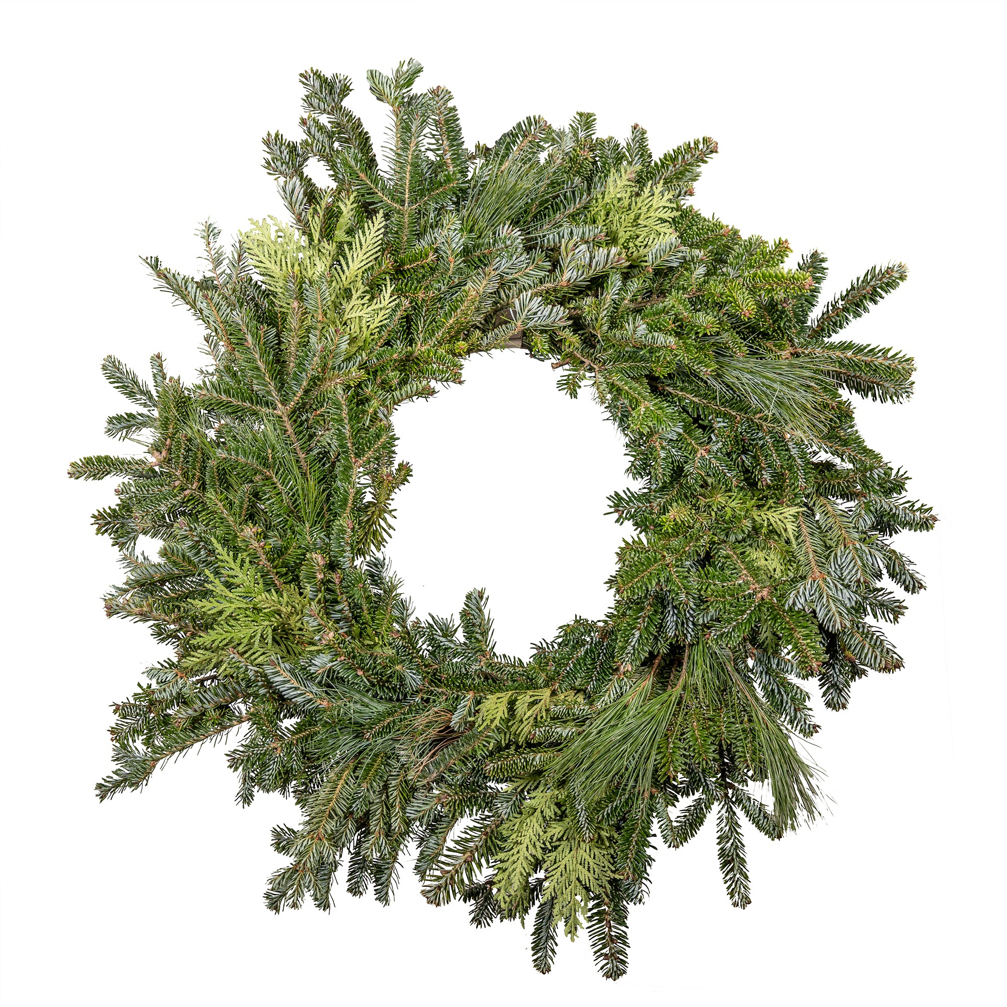 Garden Elements Fresh Handmade Christmas Holiday Live Evergreen Wreath, Mixed Fraser, White Pine and Arborvitae Greens, 22"