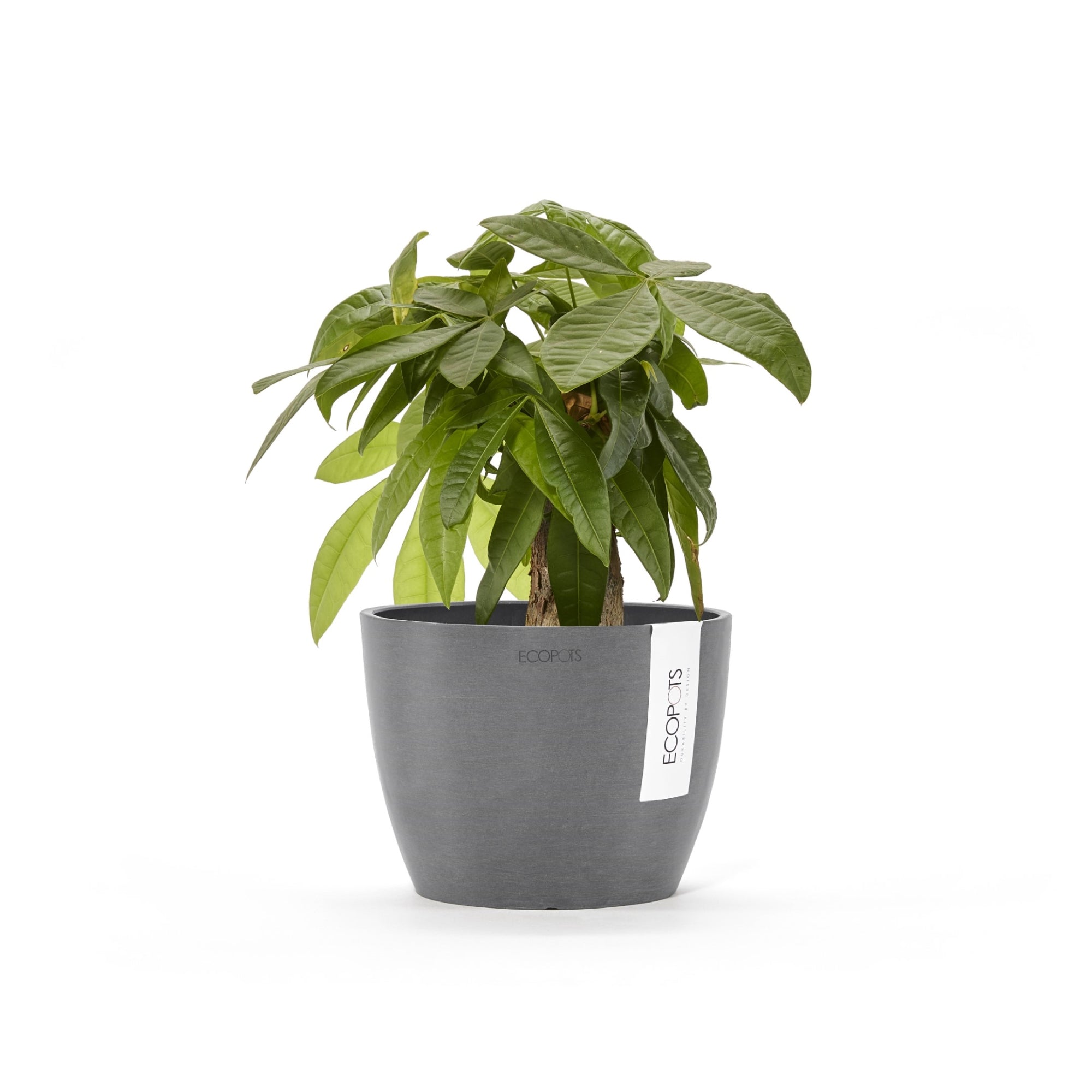 Ecopots Stockholm Mini Durable Modern Round Indoor/Outdoor Recycled-Based Composite Flower Pot Planter, 6"