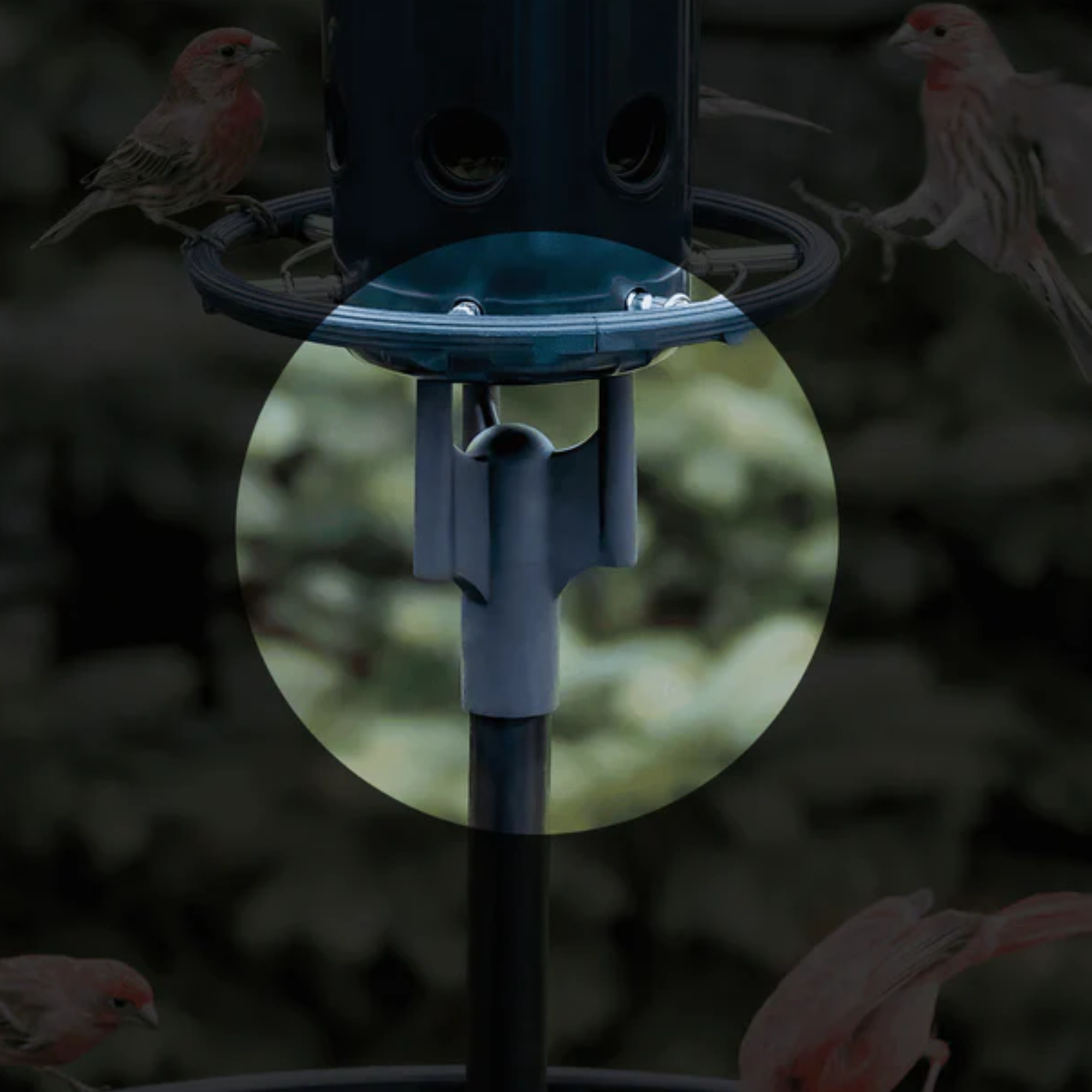 Brome Squirrel Buster Pole Adaptor for Squirrel Buster Plus Bird Feeder