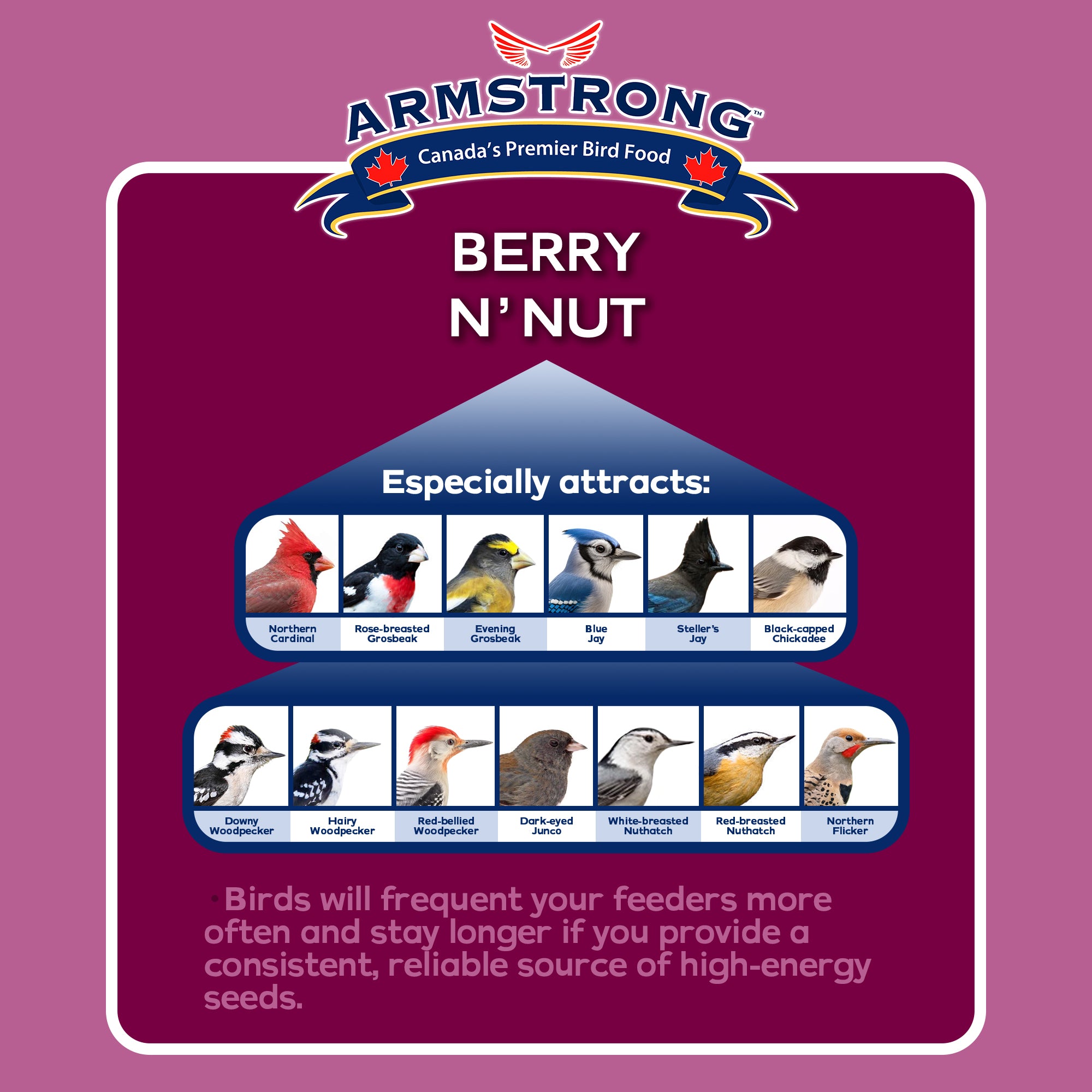 Armstrong Wild Bird Food Berry N' Nut Suet Cake, 11.3oz (Pack of 12)