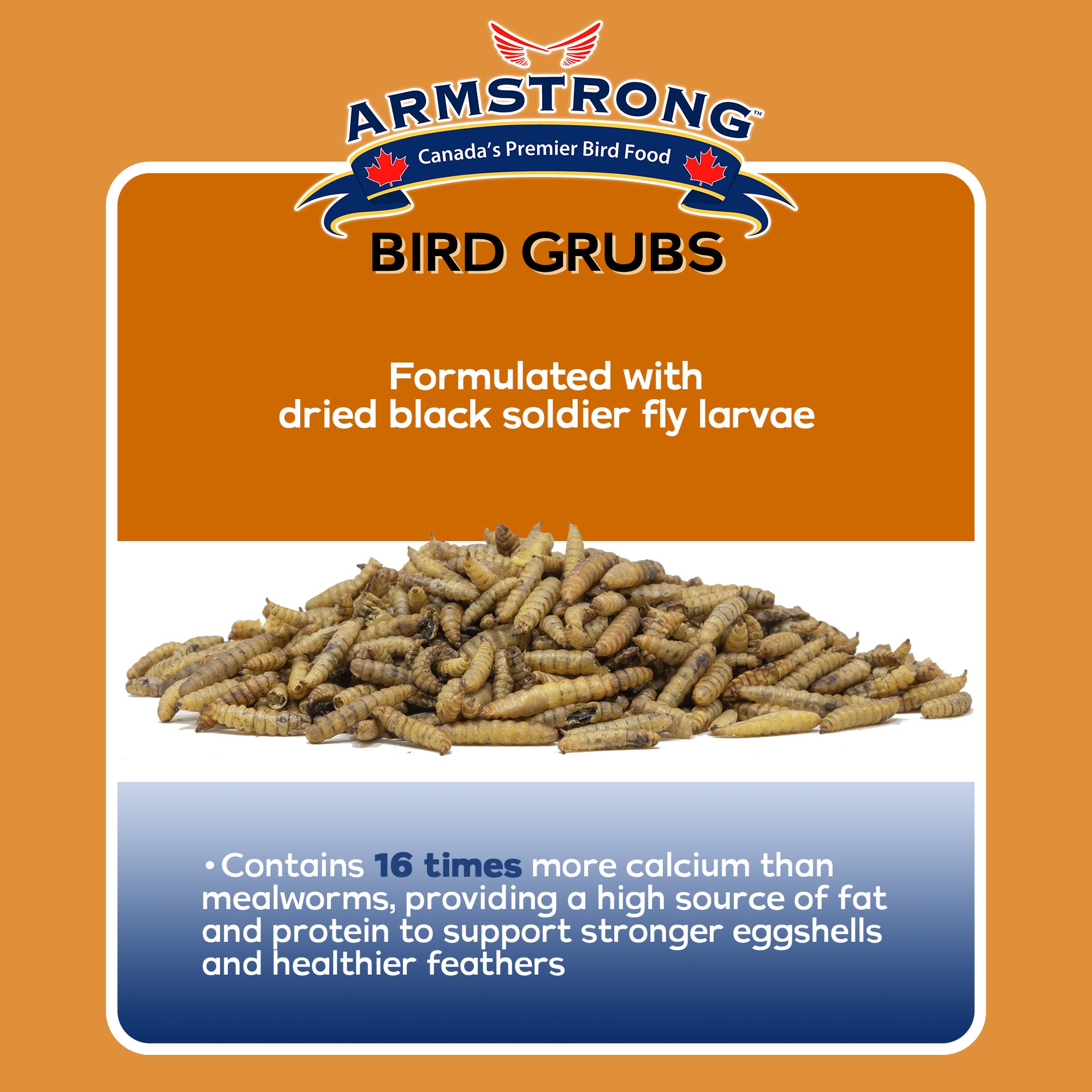 Armstrong Wild Bird Food Mealworm Alternative Bird Grubs Bird Seed Blend