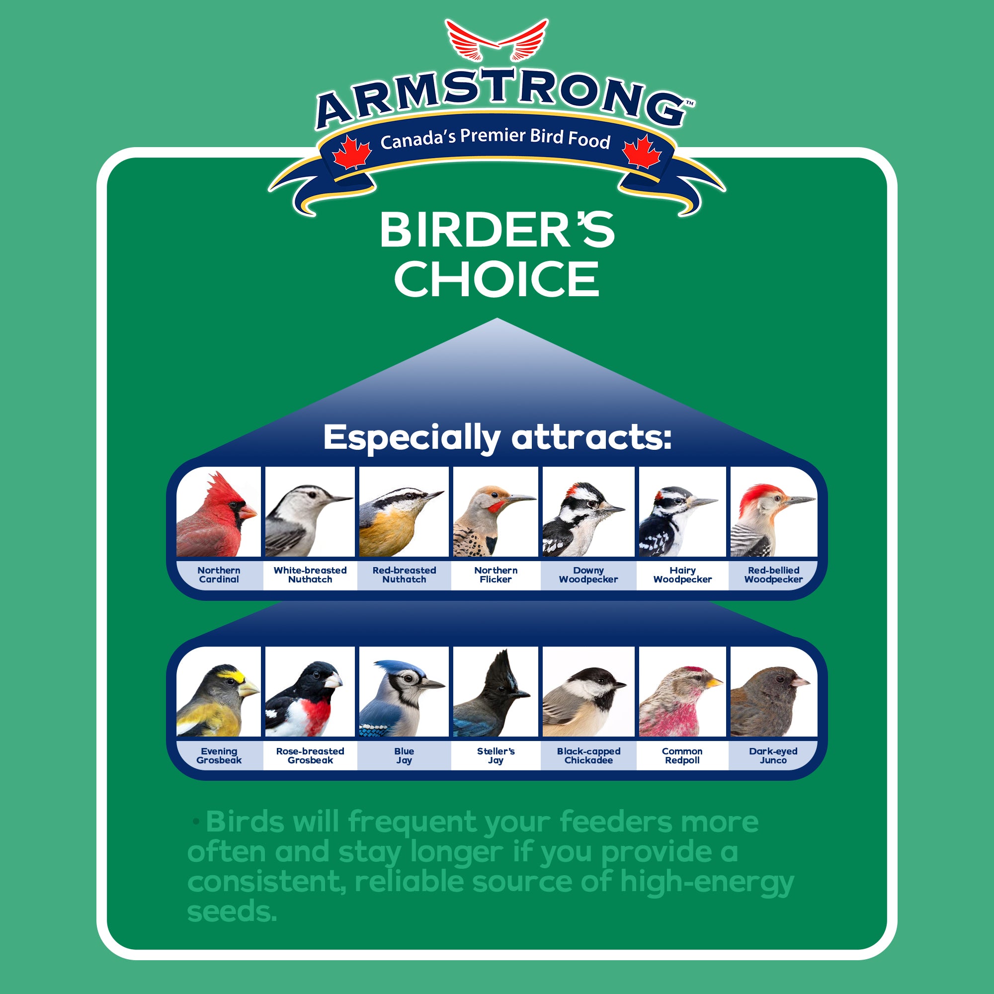 Armstrong Wild Bird Food Birder's Choice Suet Cake