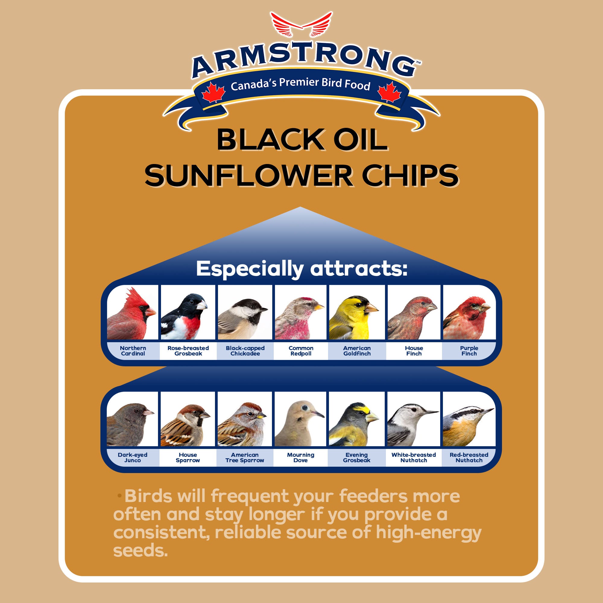 Armstrong Wild Bird Food Black Oil Sunflower Chips