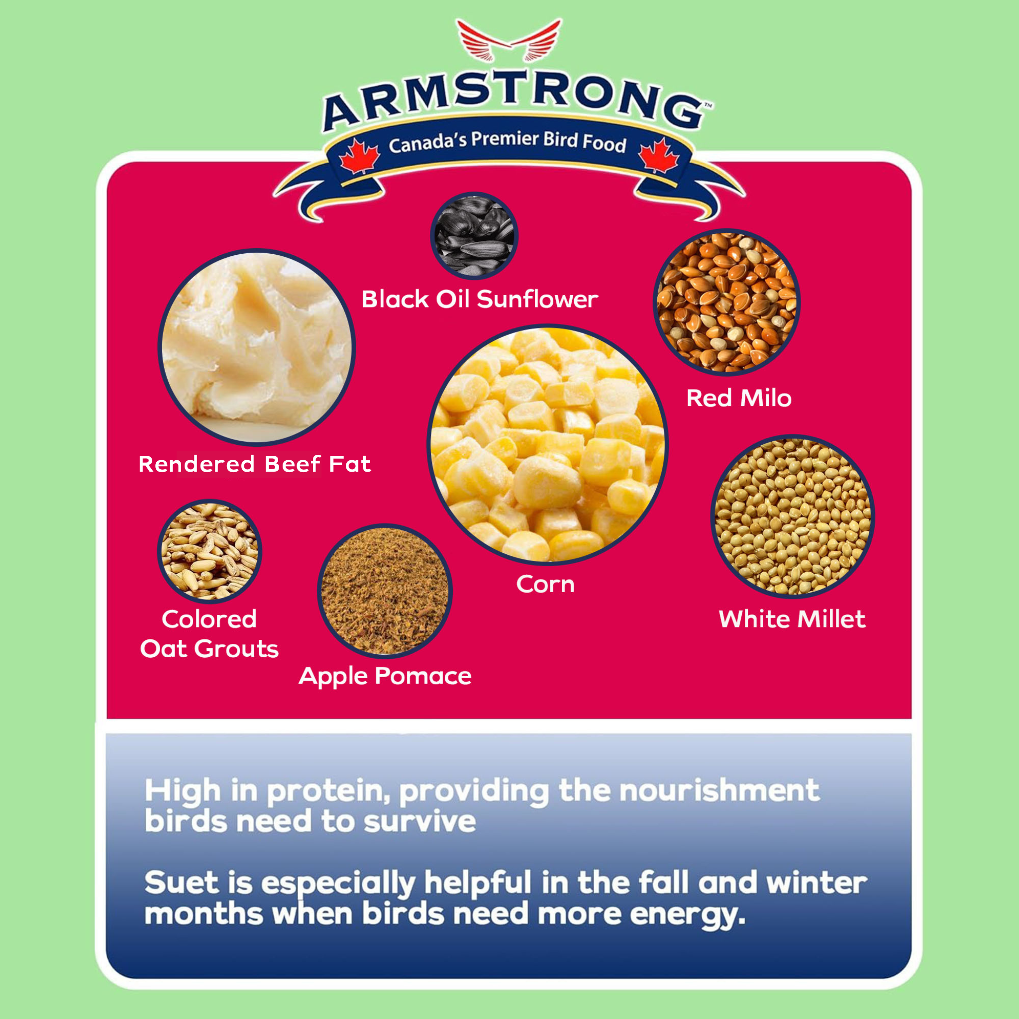 Armstrong Wild Bird Food Sweet Apple Suet Cake, 11.3oz (Pack of 12)
