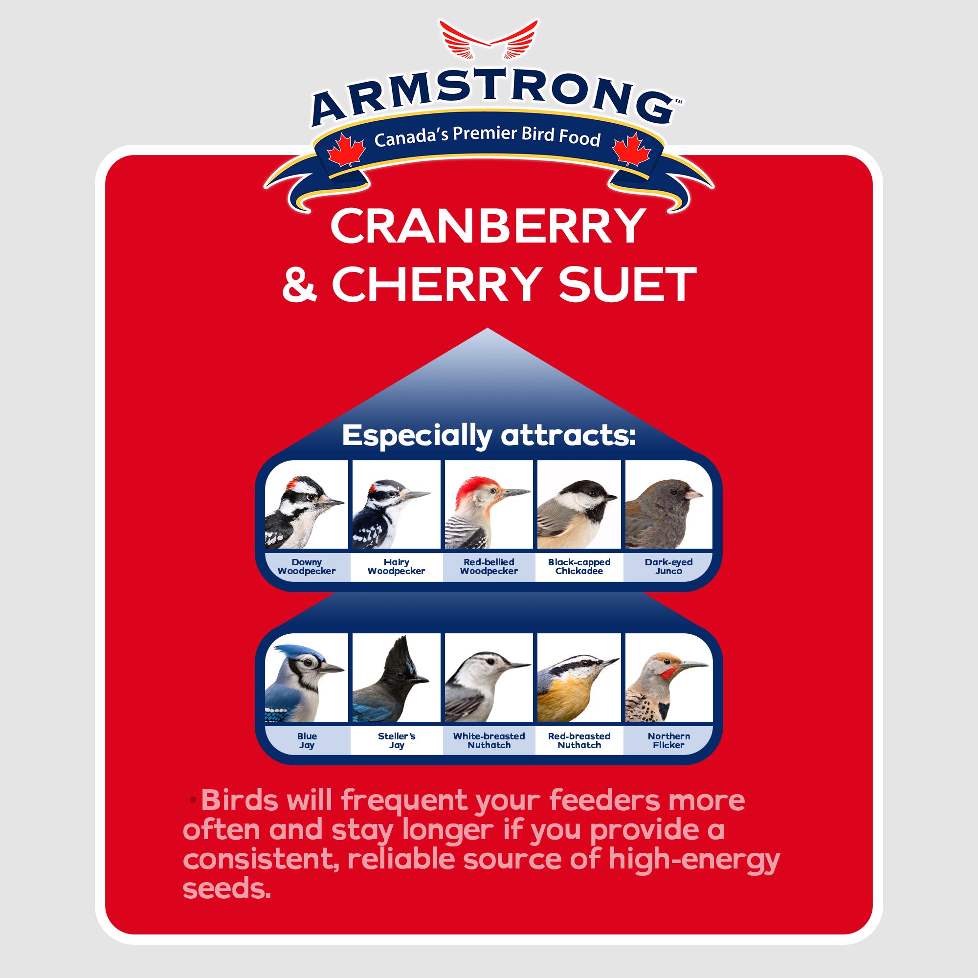 Armstrong Wild Bird Food Cranberry and Cherry Suet Cake, 11.3oz (Pack of 12)