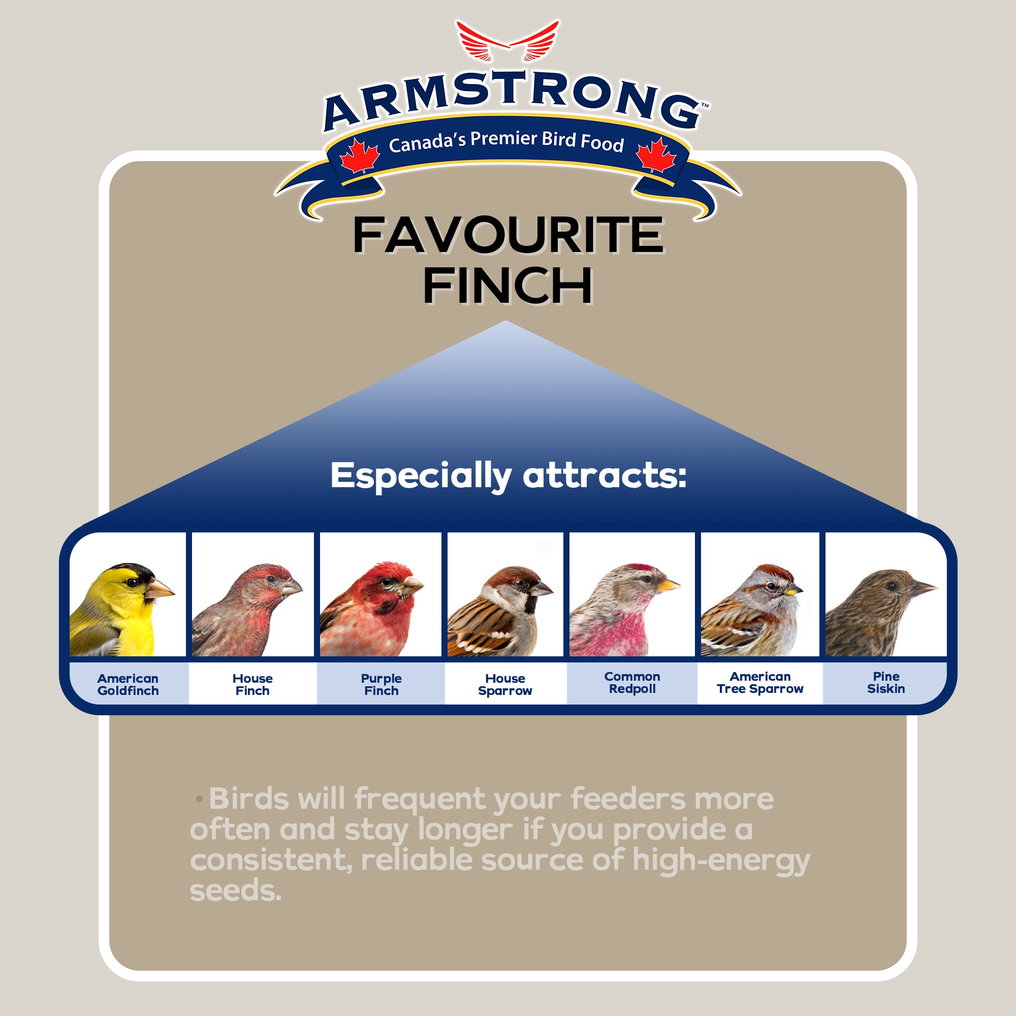 Armstrong Wild Bird Food Favourite Finch Bird Seed Blend For Finches