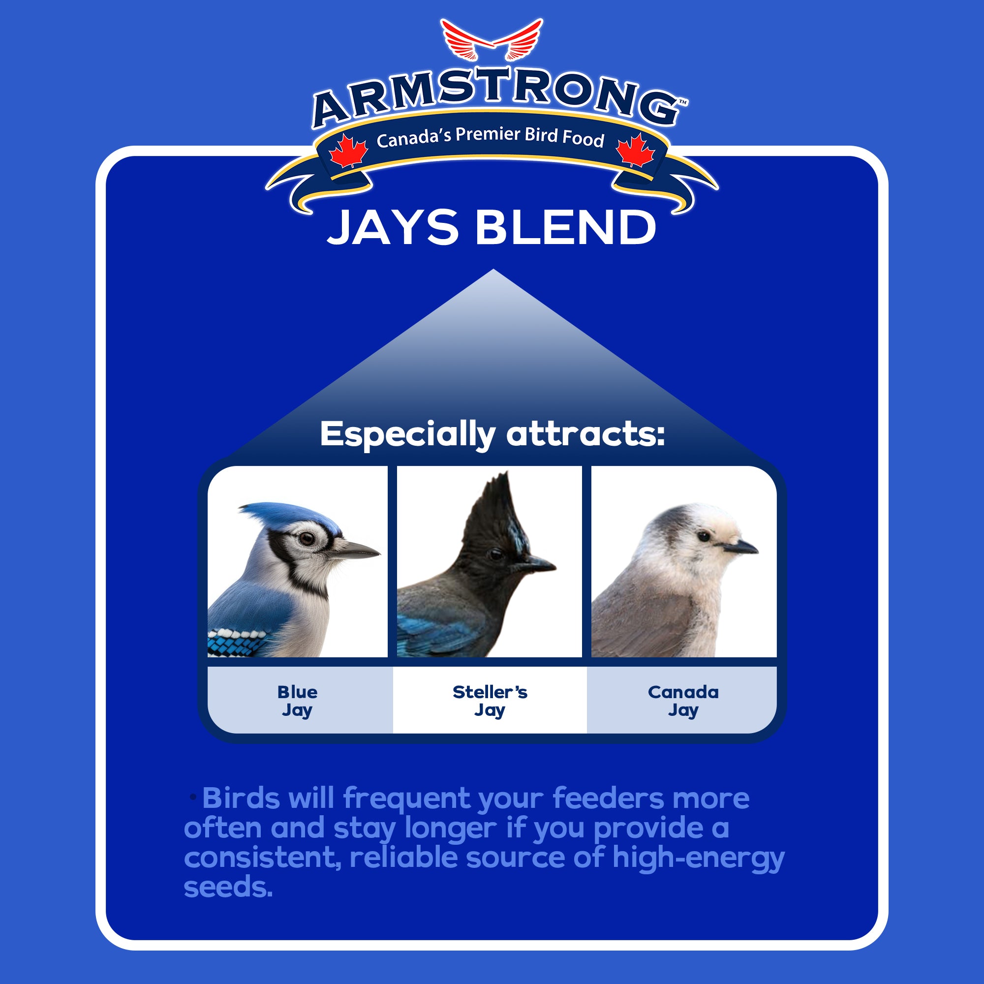 Armstrong Wild Bird Food Royal Jubilee Jays Blend Bird Seed Blend for Blue Jays