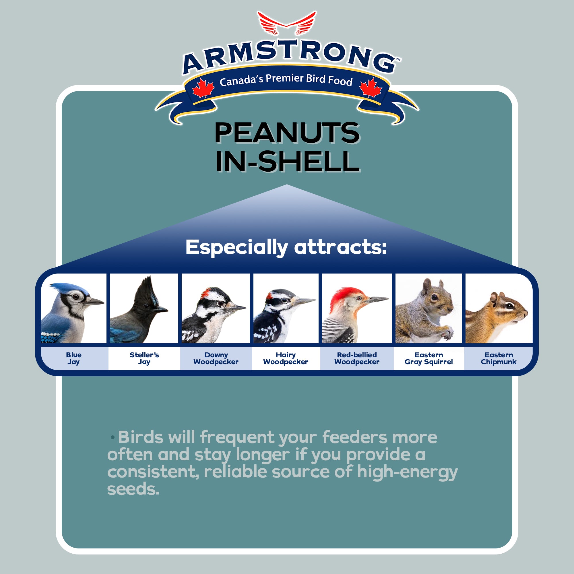 Armstrong Wild Bird Food Peanuts-In-Shell