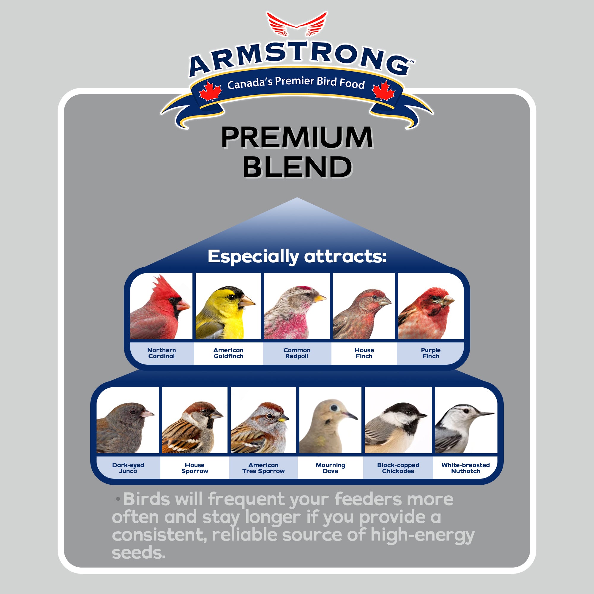 Armstrong Wild Bird Food Premium Bird Seed Blend