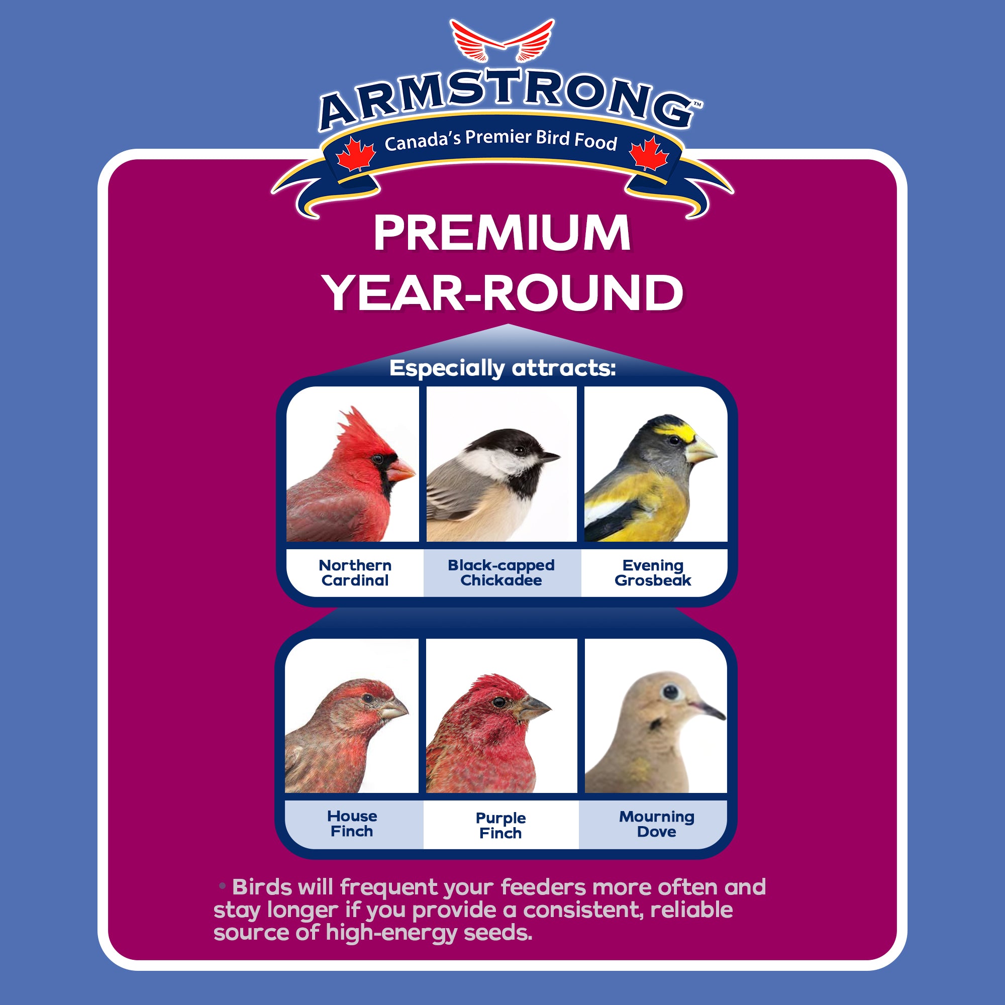 Armstrong Wild Bird Food Premium Year-Round Bird Seed Blend, 5lb Jug