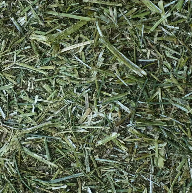 Standlee Premium Western Forage, Hand-Selected Alfalfa for Small Animals & Livestock