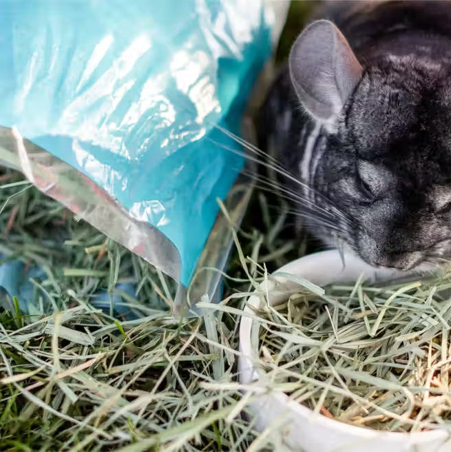 Standlee Premium Orchard Grass – Healthy Forage for Rabbits, Guinea Pigs, and Small Herbivores