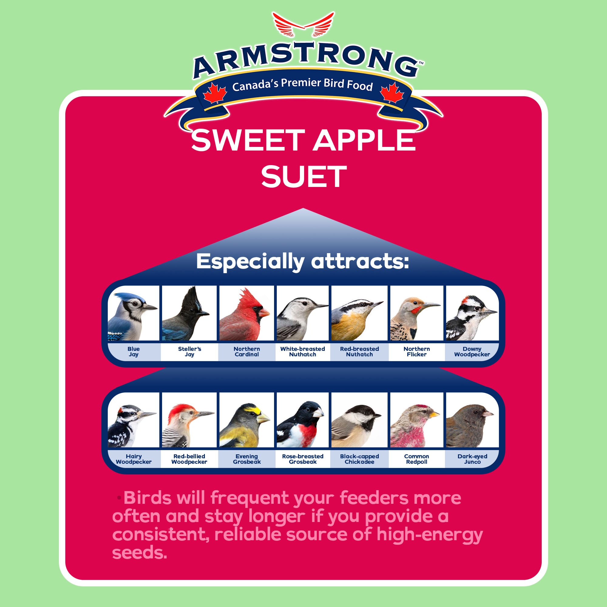 Armstrong Wild Bird Food Sweet Apple Suet Cake, 11.3oz (Pack of 12)