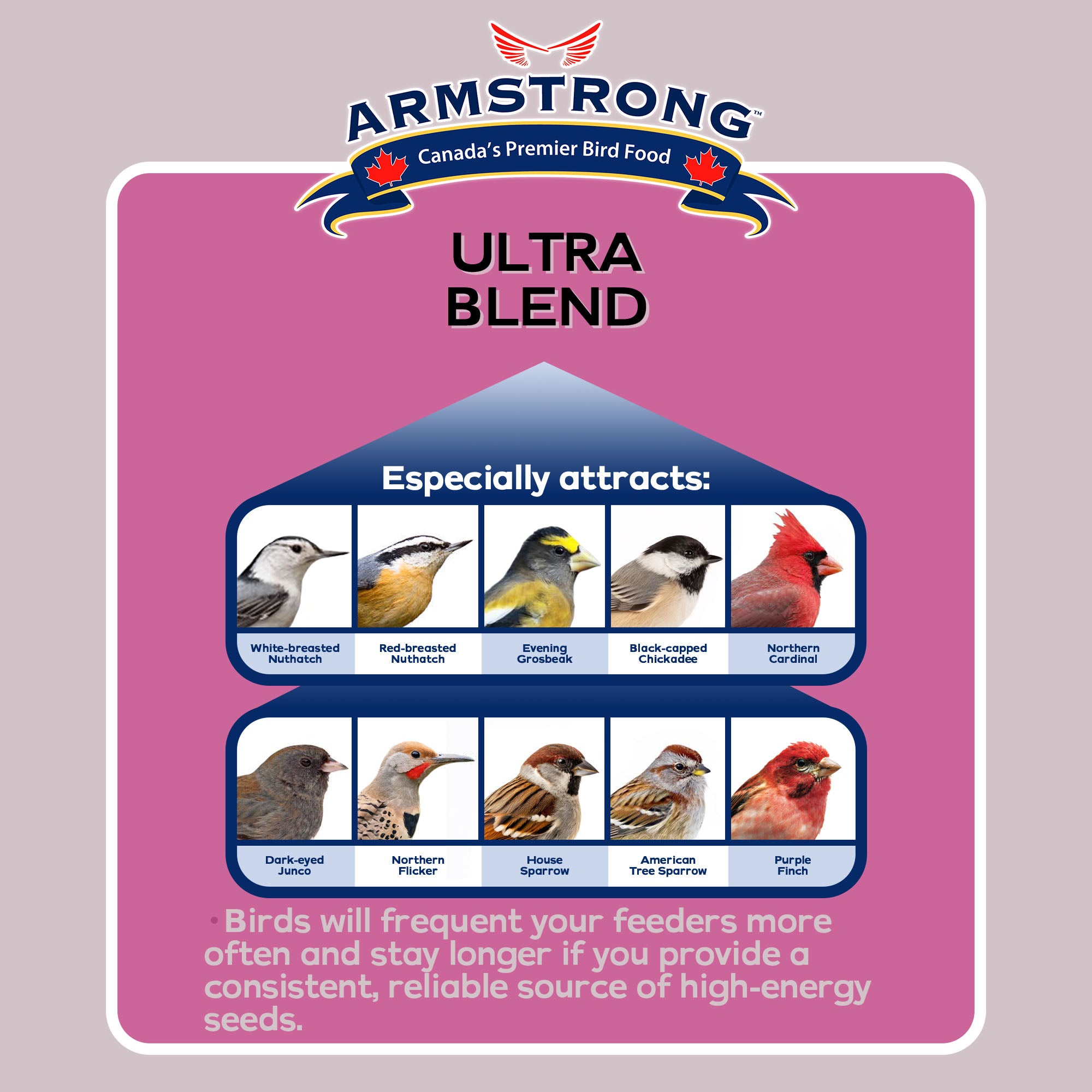 Armstrong Wild Bird Food Ultra Bird Seed Blend for Wild Songbirds