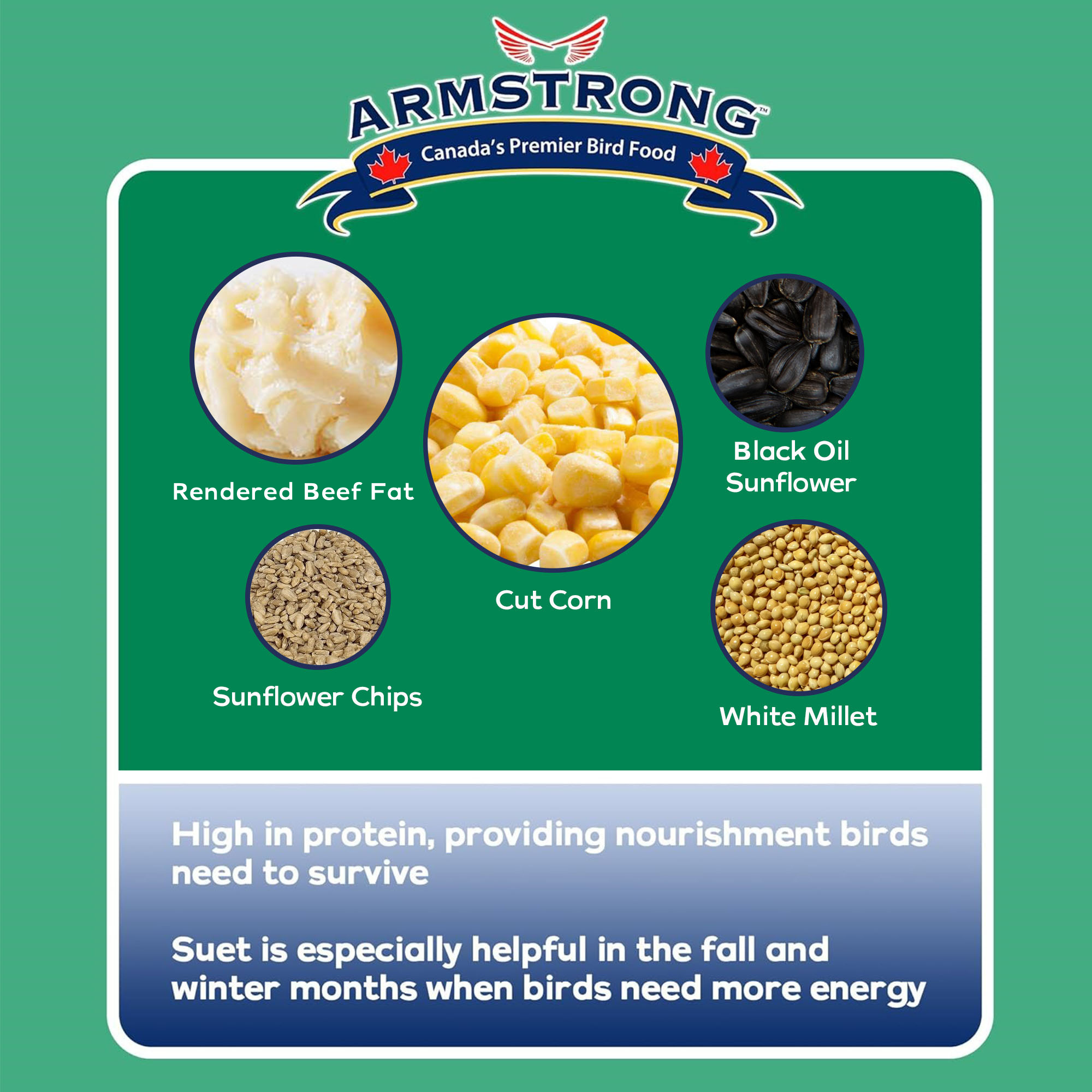 Armstrong Wild Bird Food Birder's Choice Suet Cake