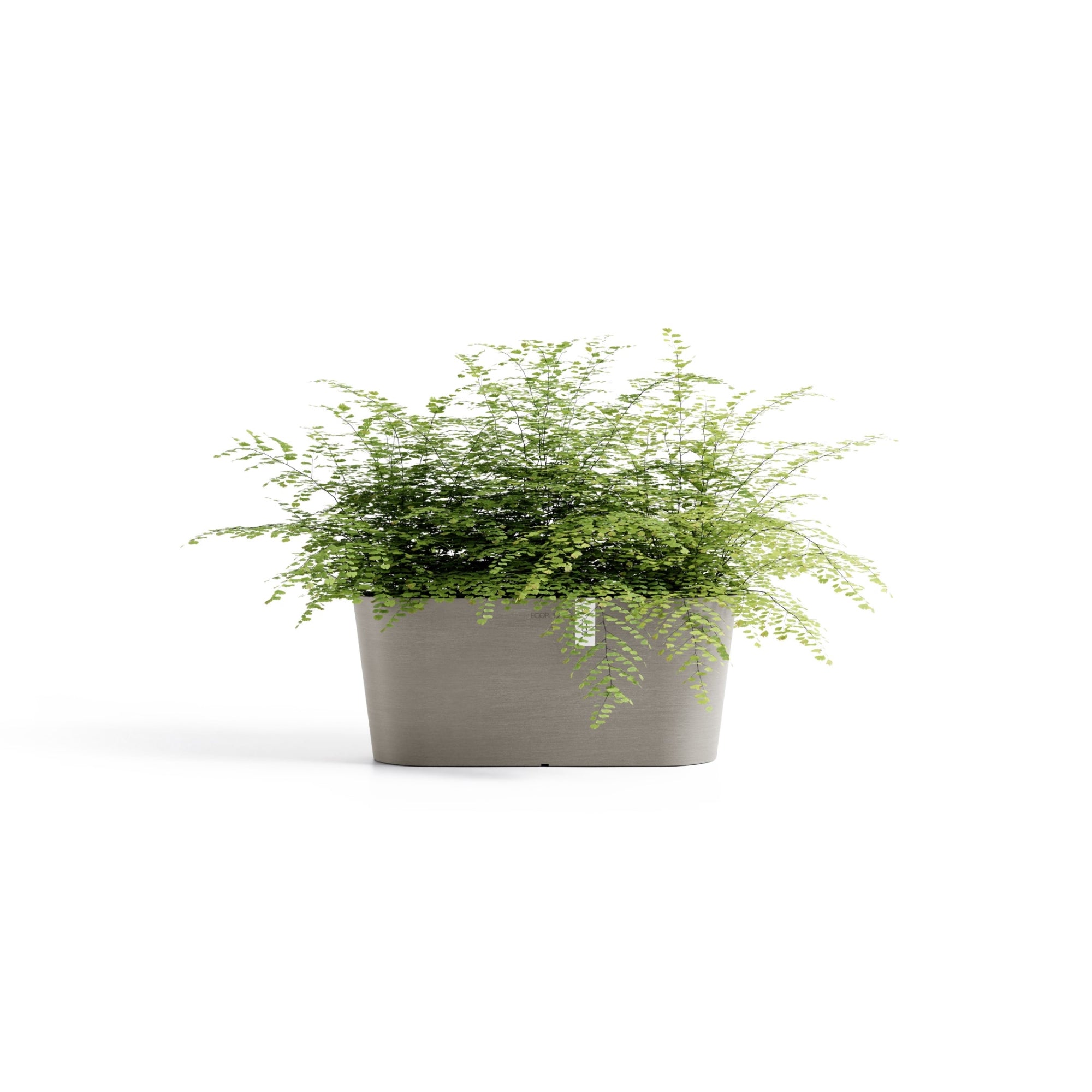 Ecopots Tokyo Durable Modern Oval Indoor/Outdoor Recycled-Based Composite Flower Pot Planter w/ Water Reservoir