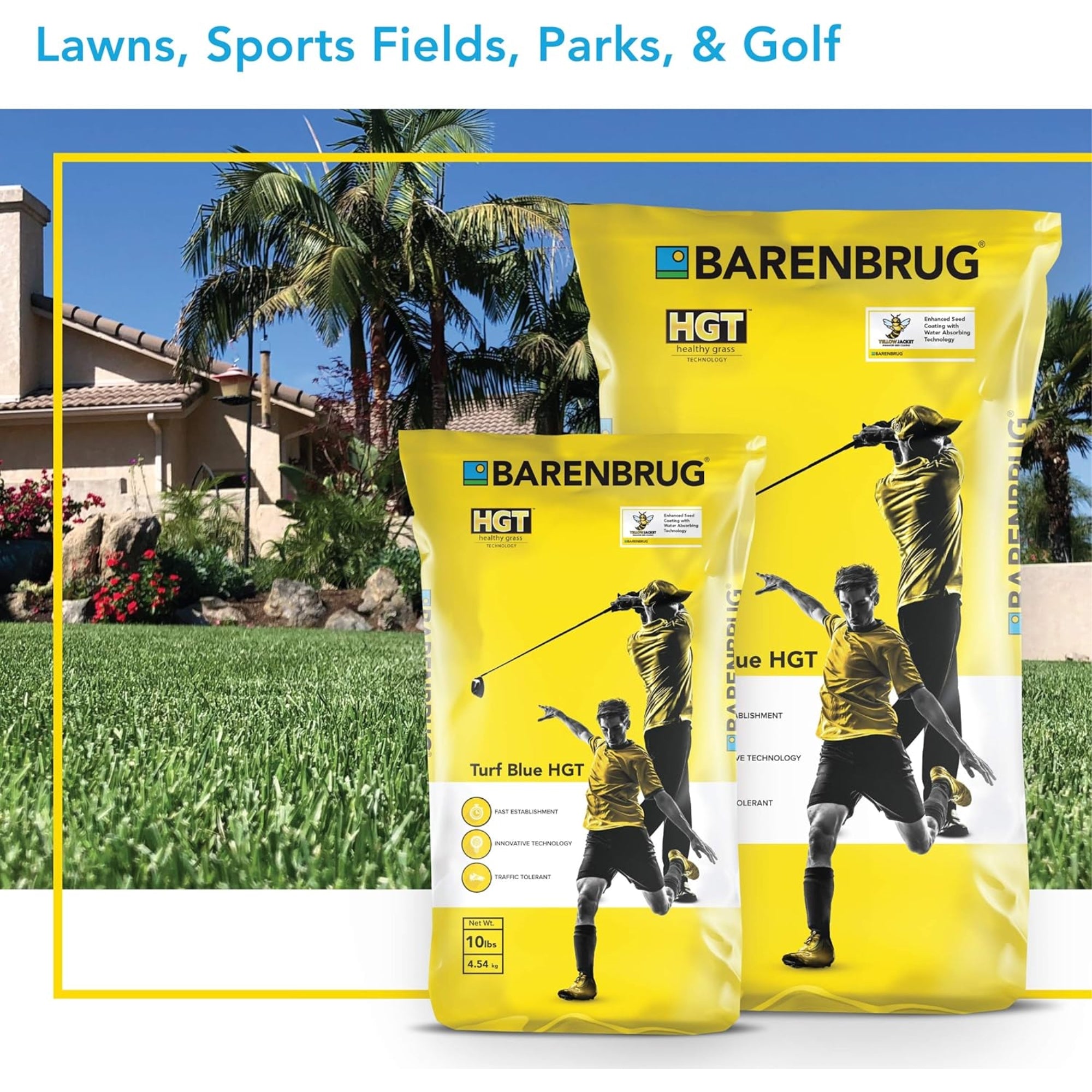 Barenbrug Turf Blue Healthy Grass Technology Lawn Seed Blend with Yellow Jacket Seed Coating, Heavy-Traffic HGT Grass Seed Mix for All Climates, 10lb