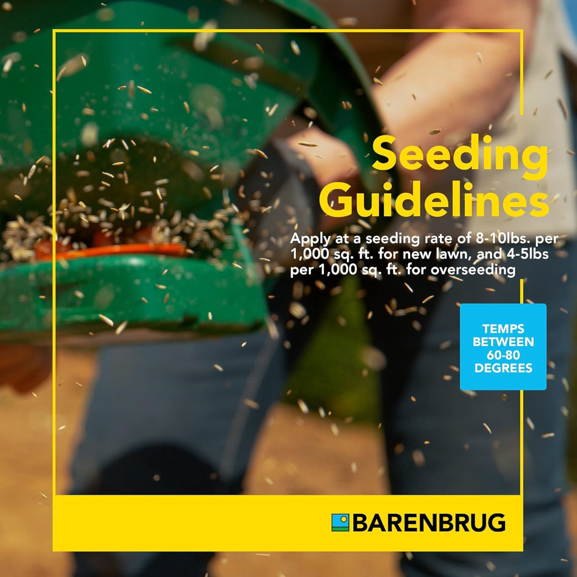 Barenbrug Turf Star RPR Grass Seed with Yellow Jacket Coating, 25lb