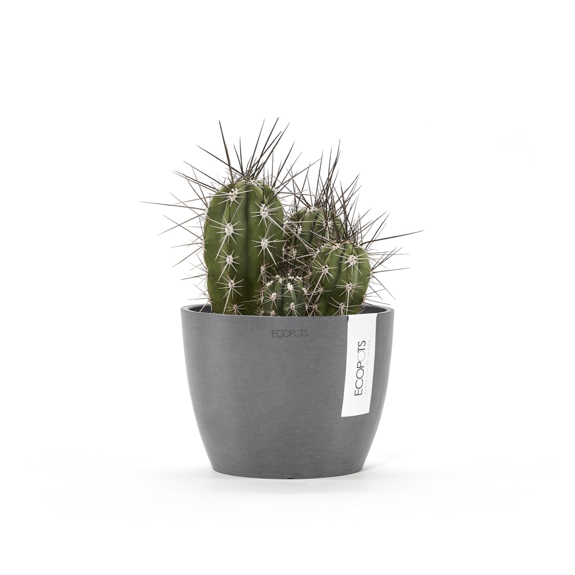 Ecopots Stockholm Mini Durable Modern Round Indoor/Outdoor Recycled-Based Composite Flower Pot Planter, 6"