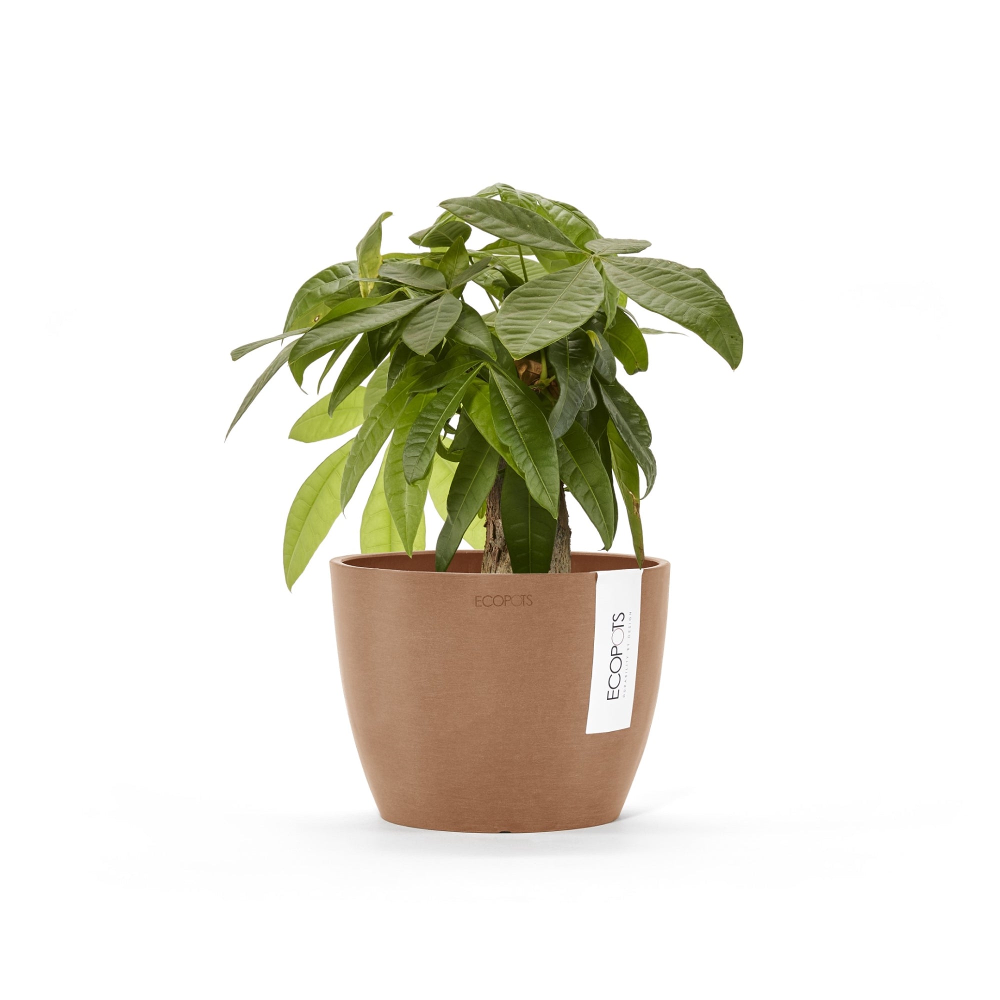 Ecopots Stockholm Mini Durable Modern Round Indoor/Outdoor Recycled-Based Composite Flower Pot Planter, 6"