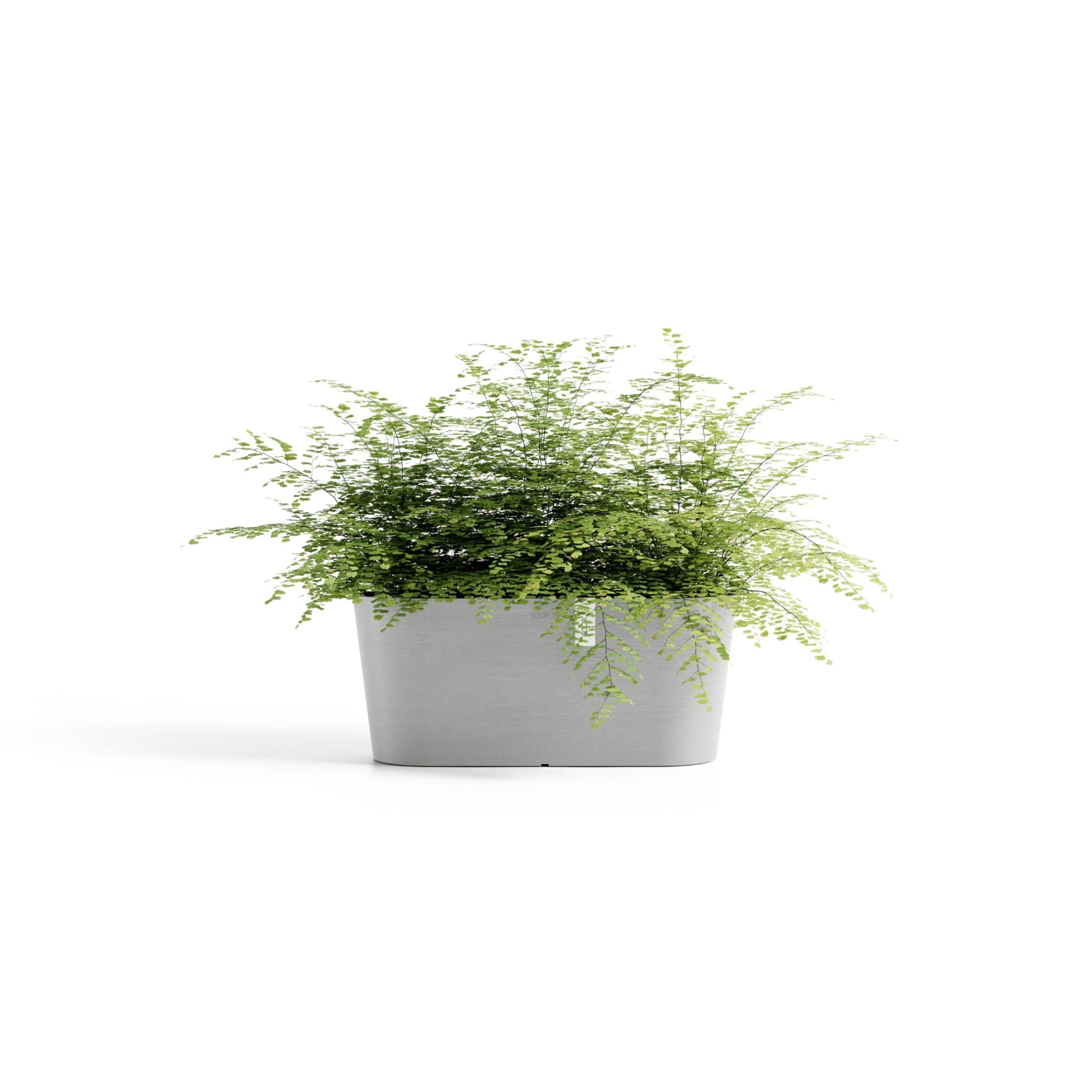 Ecopots Tokyo Durable Modern Oval Indoor/Outdoor Recycled-Based Composite Flower Pot Planter w/ Water Reservoir