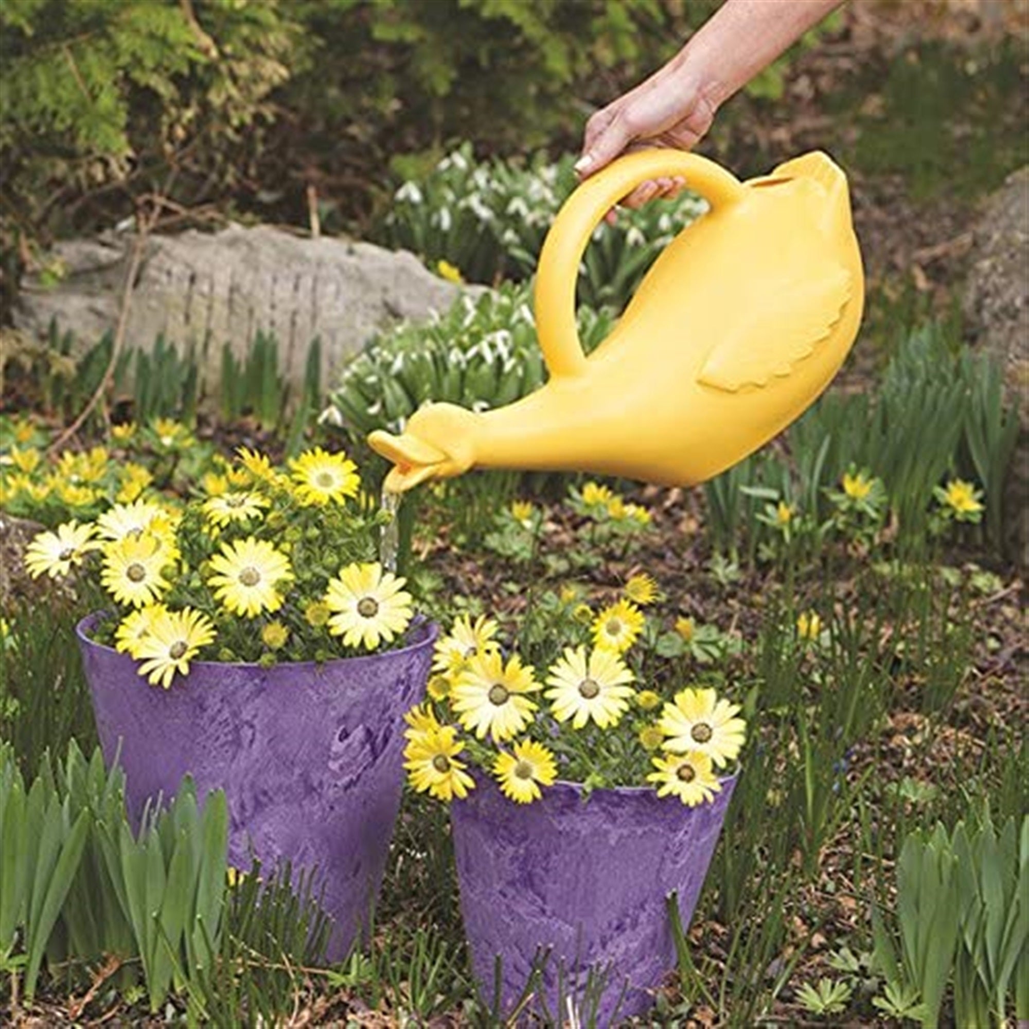 Novelty Kids Lucky Duck Watering Can, Yellow, 1 Gallon