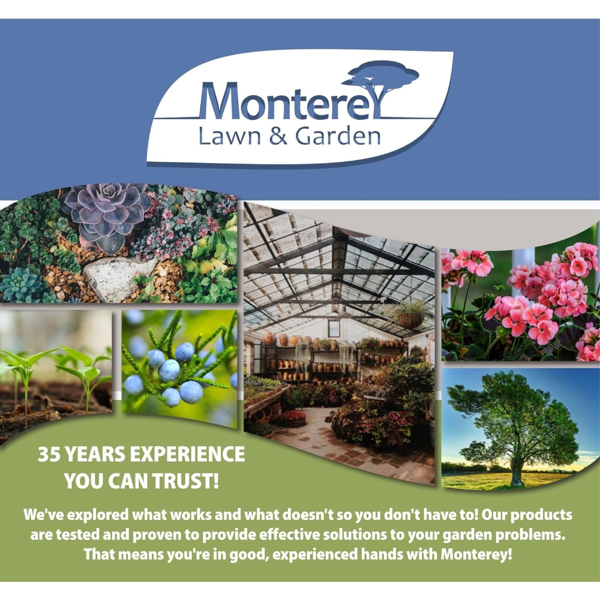Monterey Iron Combo 1-0-2 Fertilizer Concentrate, 4% Iron Plus Micronutrients