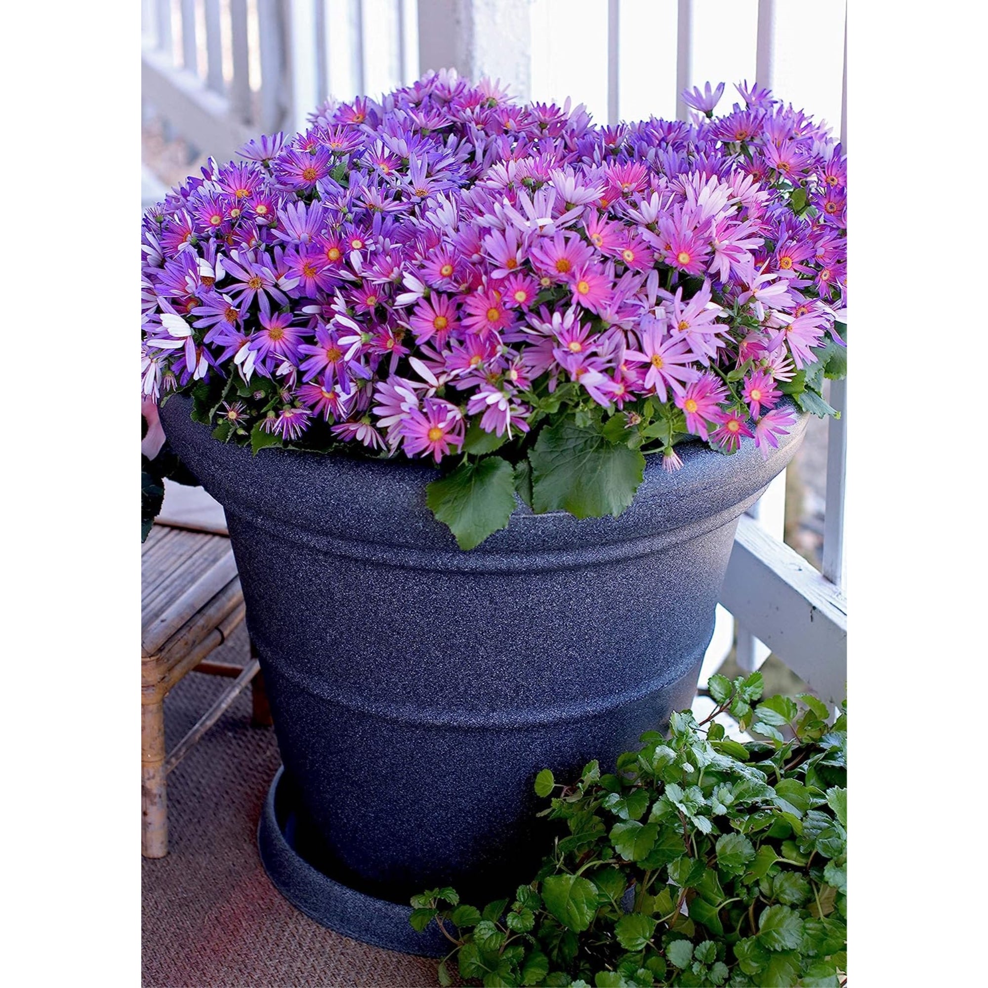 The HC Companies Terrazzo Round Plastic Planter Pot