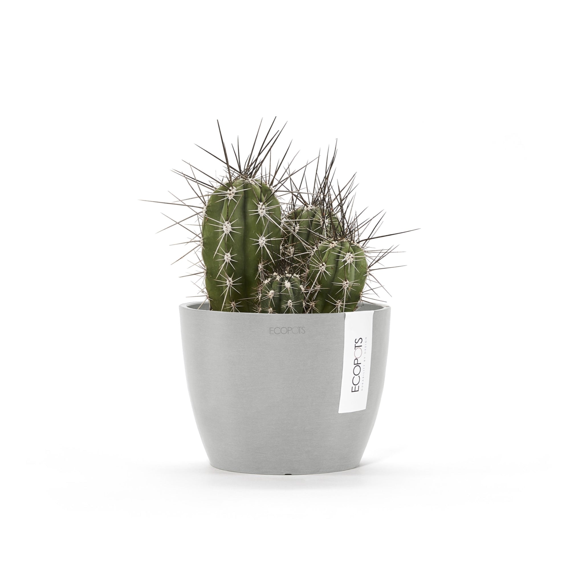 Ecopots Stockholm Mini Durable Modern Round Indoor/Outdoor Recycled-Based Composite Flower Pot Planter, 6"
