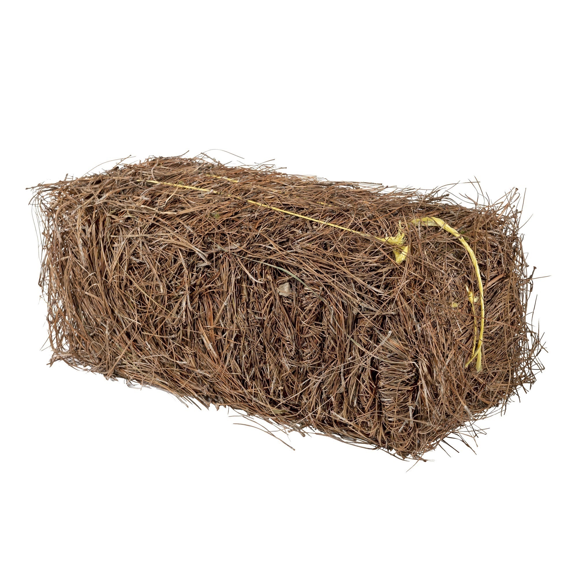 Garden Elements Long Leaf Pine Straw Bale for Mulch, Soil Amendment and Fall Decoration, 24.5"