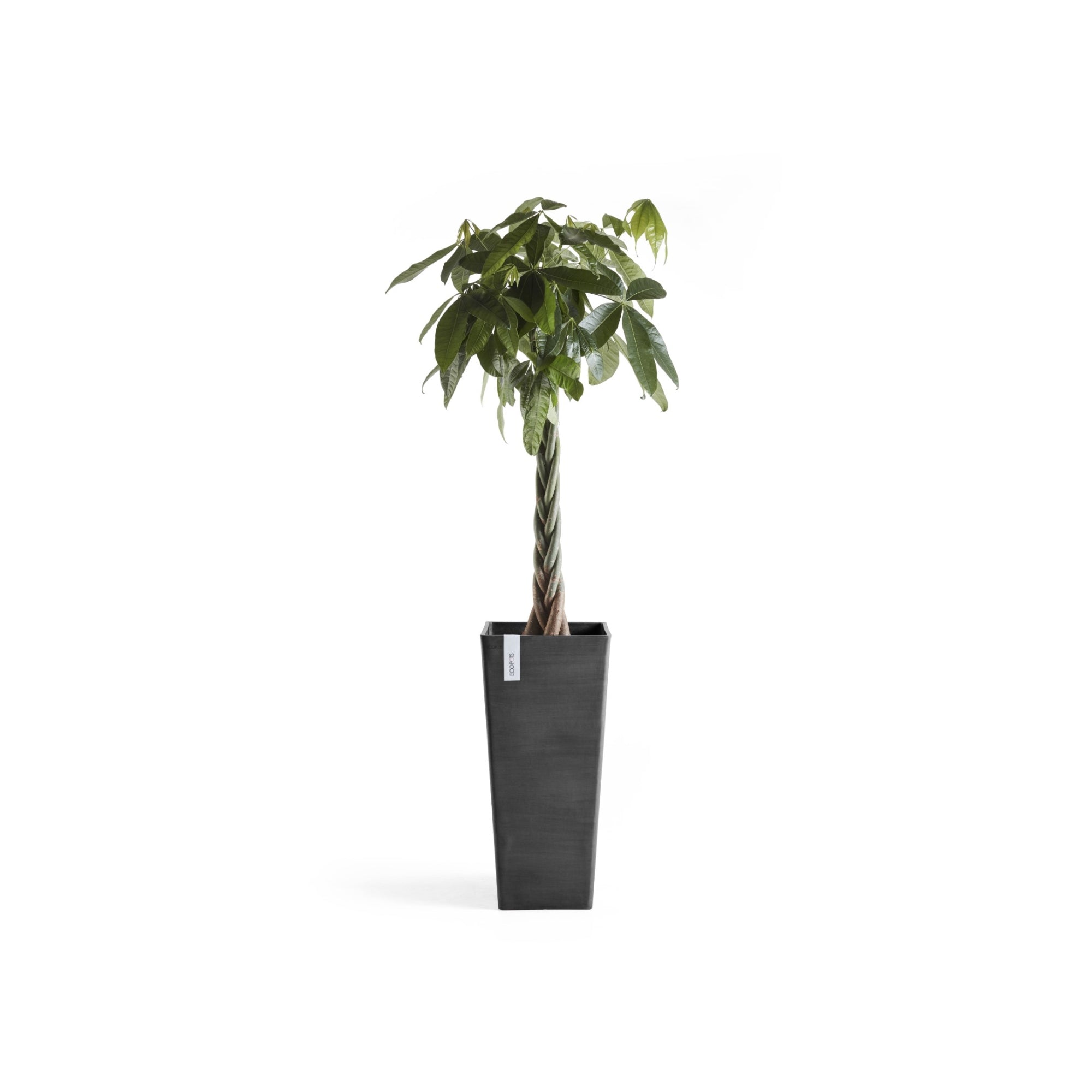 Ecopots Rotterdam High Durable Modern Square Indoor/Outdoor Recycled-Based Composite Flower Planter