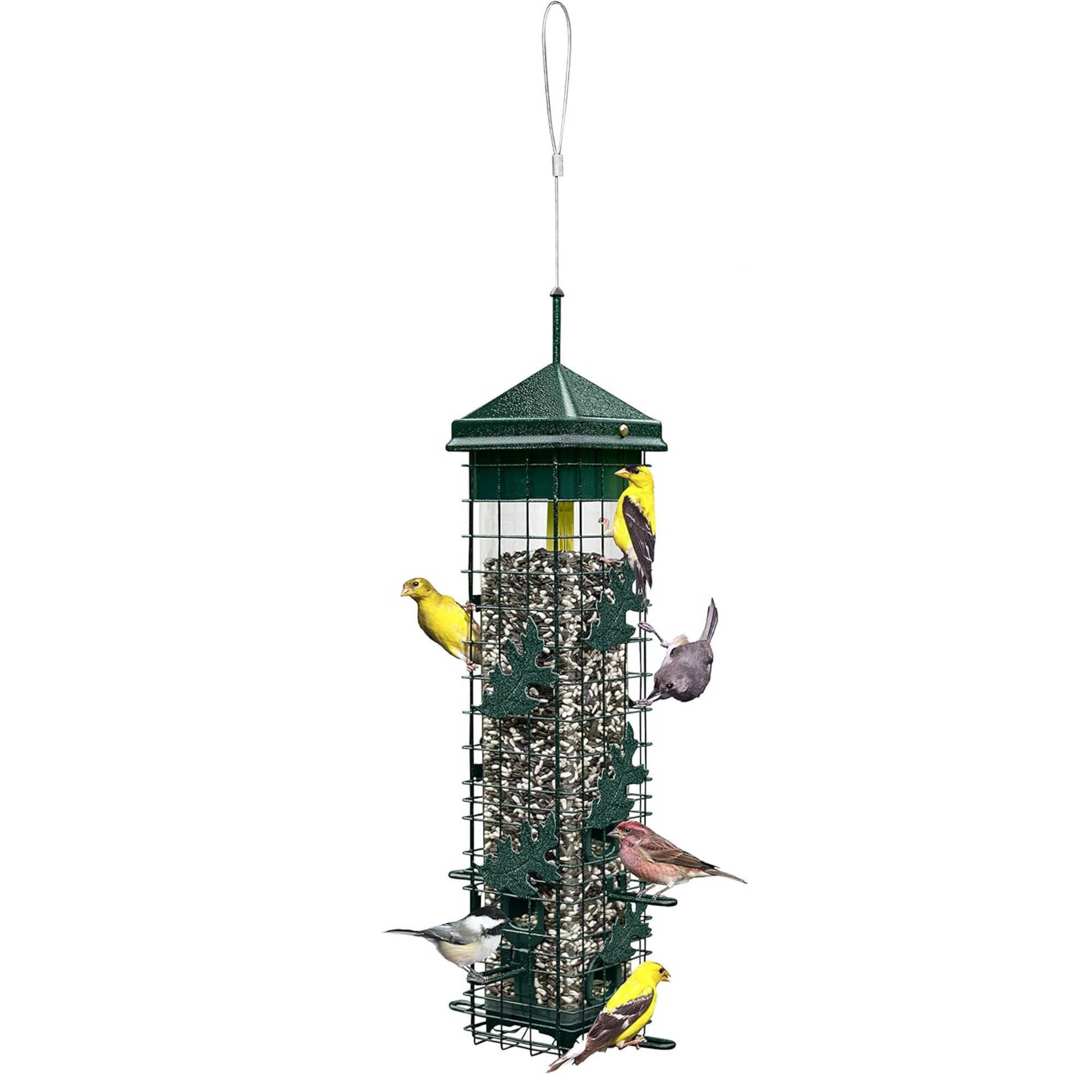 Brome Squirrel Solution 200 Squirrel Proof Bird Feeder