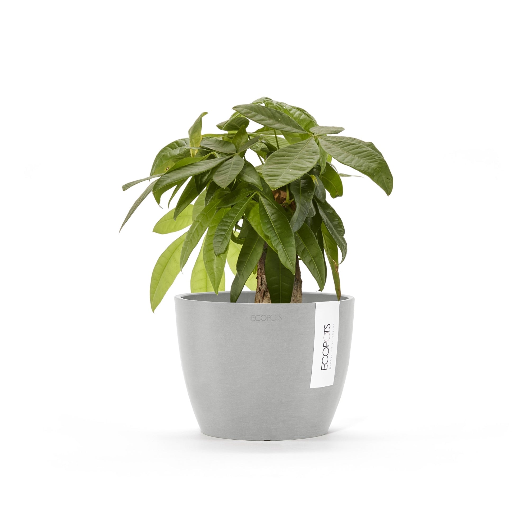 Ecopots Stockholm Mini Durable Modern Round Indoor/Outdoor Recycled-Based Composite Flower Pot Planter, 6"