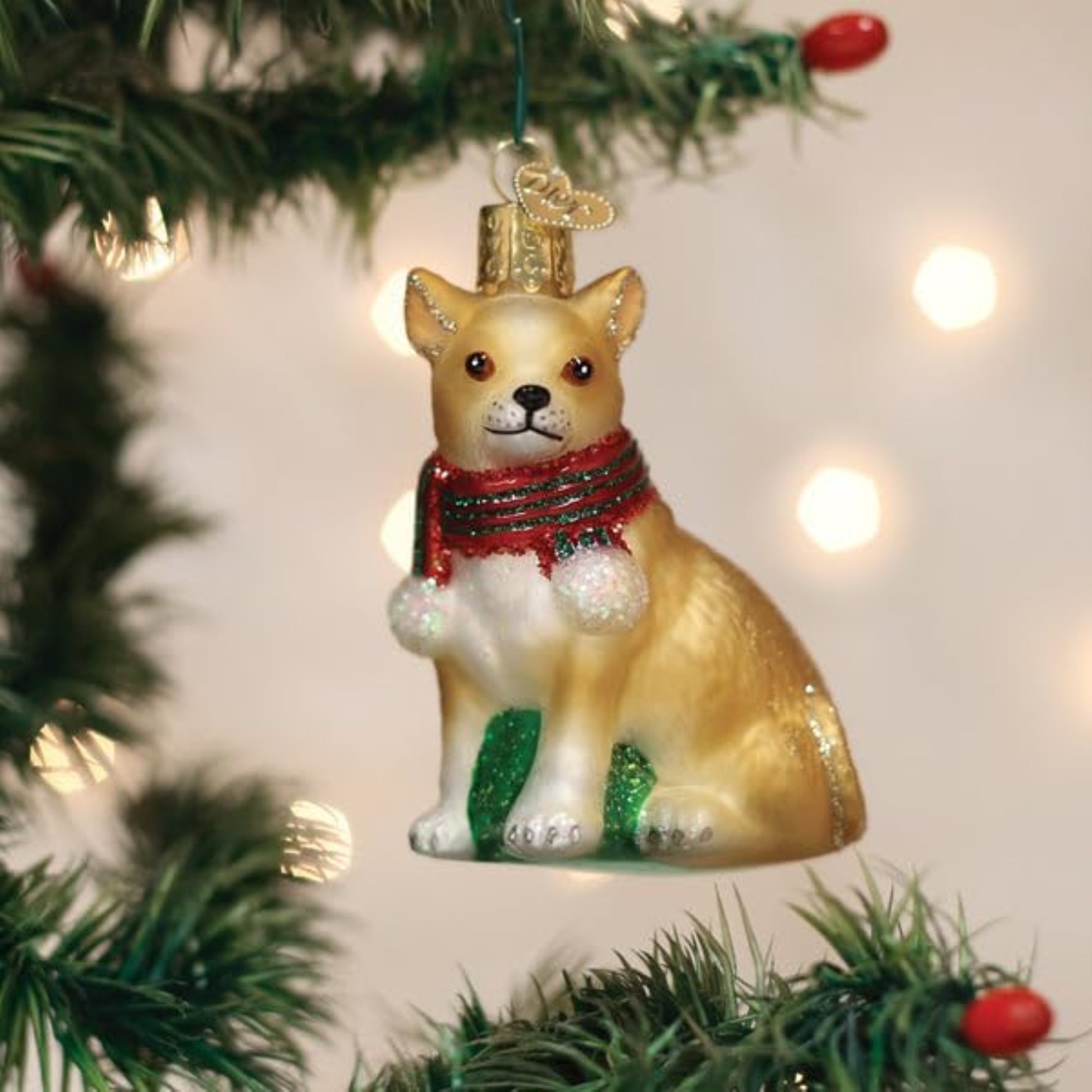 Old World Christmas Blown Glass Ornament for Christmas Tree, Chubby Chihuahua (with OWC Gift Box)