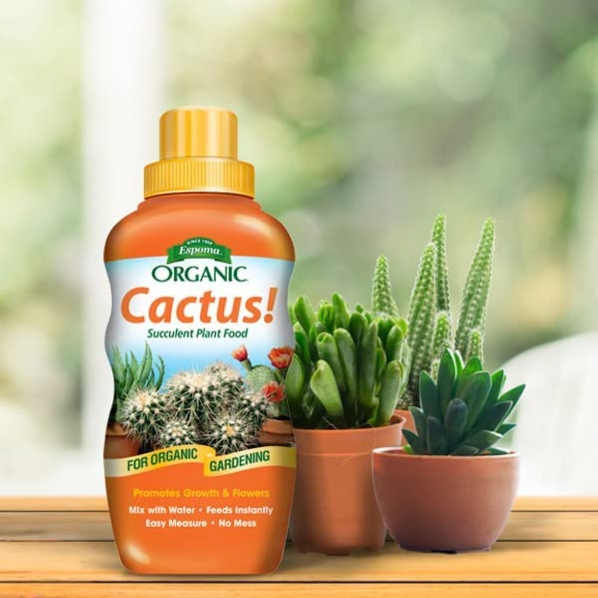 Espoma Organic Cactus! Natural & Organic Liquid Plant Food for Indoor/Outdoor Cactus, Succulents, Palm, and Citrus,  8oz