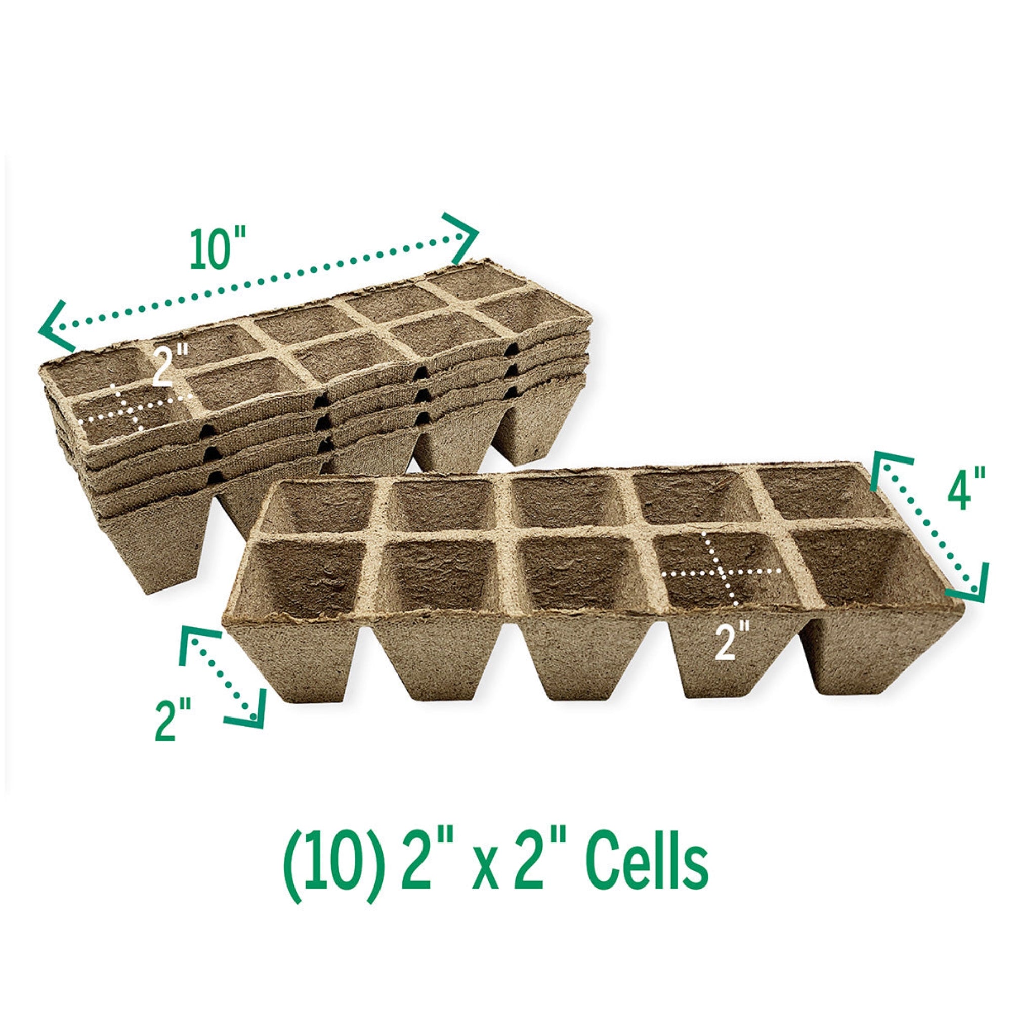 Jiffy Biodegradable Seed Starting Jiffy-Strips, 50 Organic Peat Cells