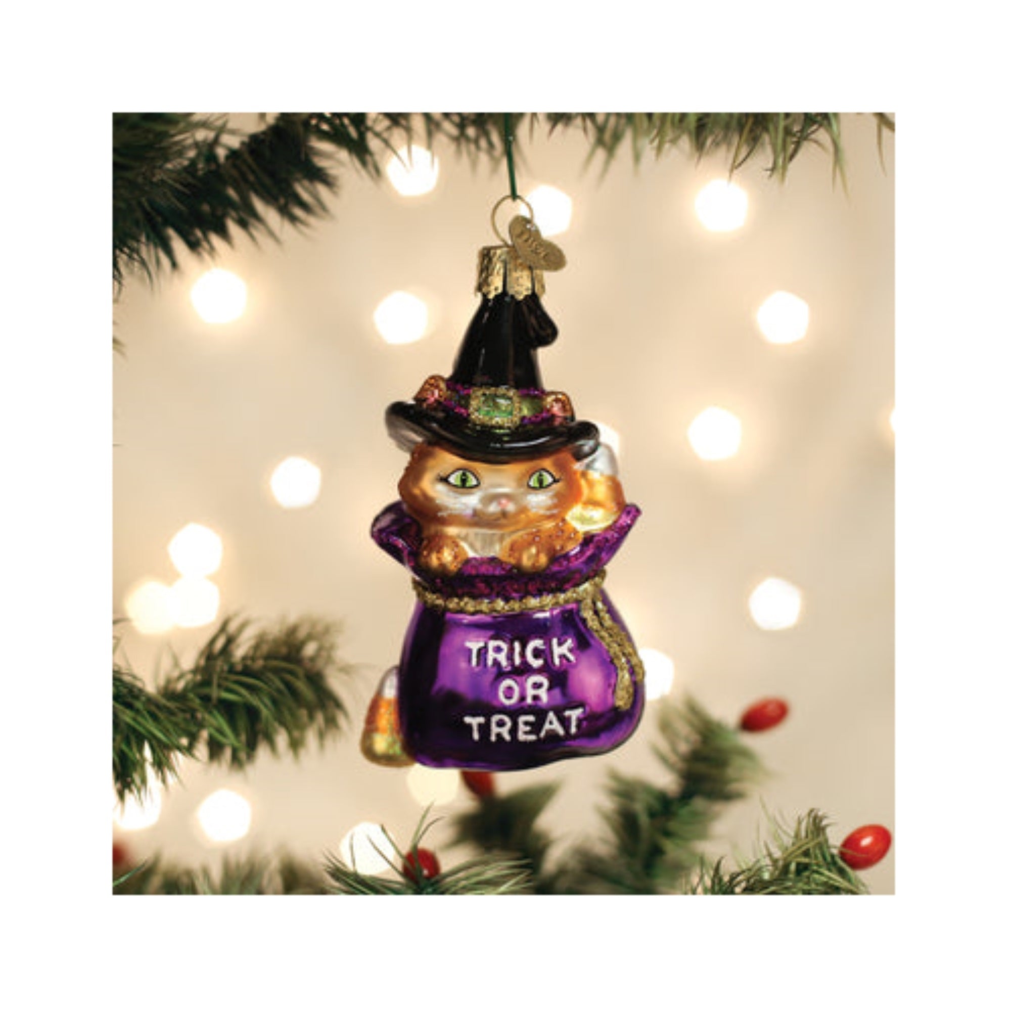 Old World Christmas Trick-Or-Treat Kitty Blown Glass Holiday Ornament For Tree