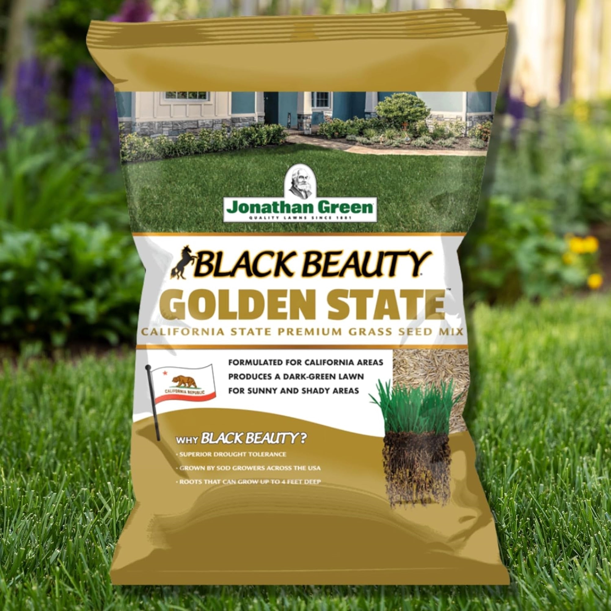 Jonathan Green Black Beauty Golden State California Cool Season Grass Seed